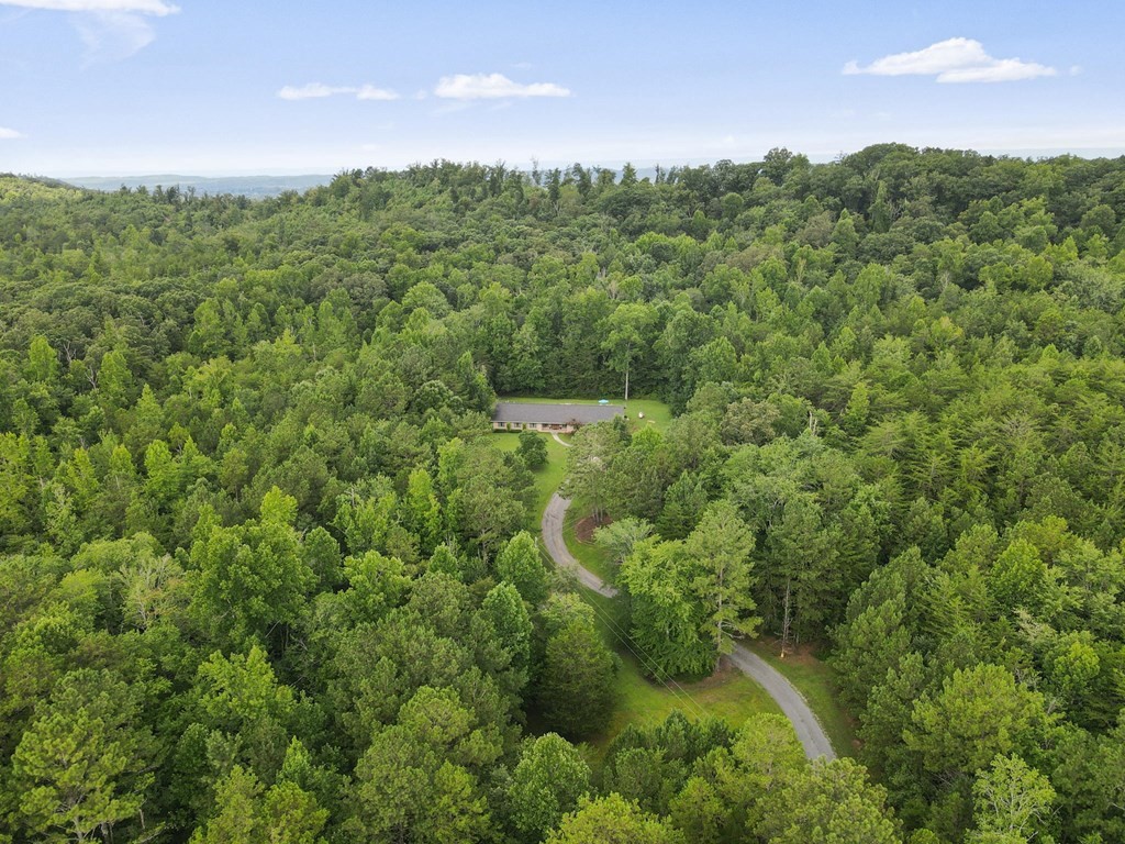 5597 South No Pone Valley Road Decatur, TN 37322 - Photo 43 of 44 a view of a forest with a street