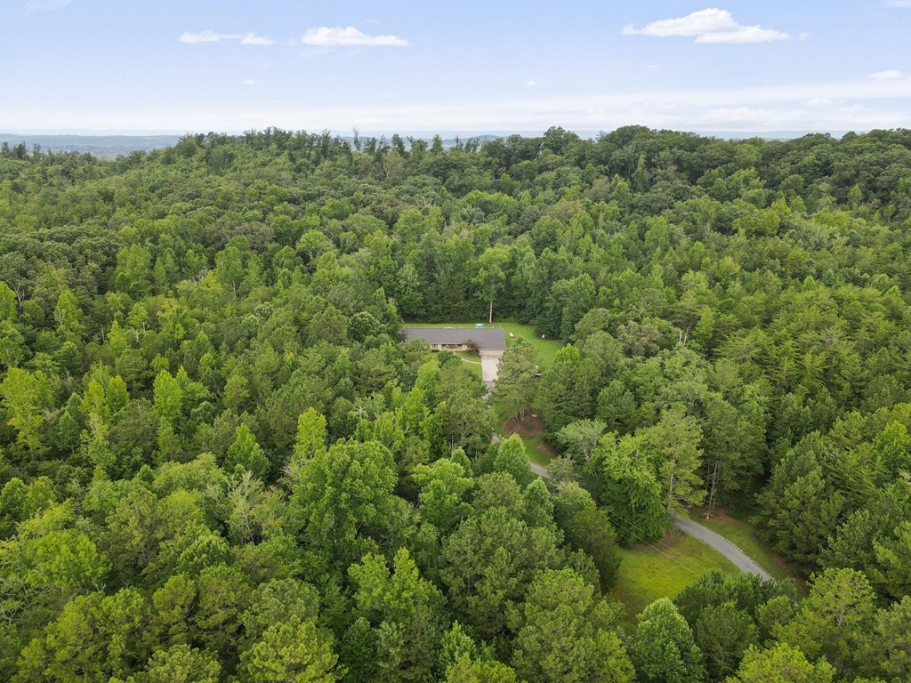 5597 South No Pone Valley Road Decatur, TN 37322 - Photo 5 of 44 a view of a forest with a street