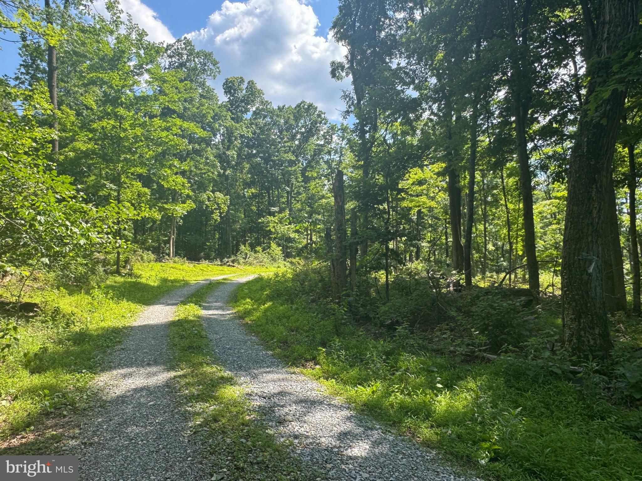 Middle Point Road Myersville, MD 21773 - Photo 1 of 3 Shared Gravel Driveway In Place