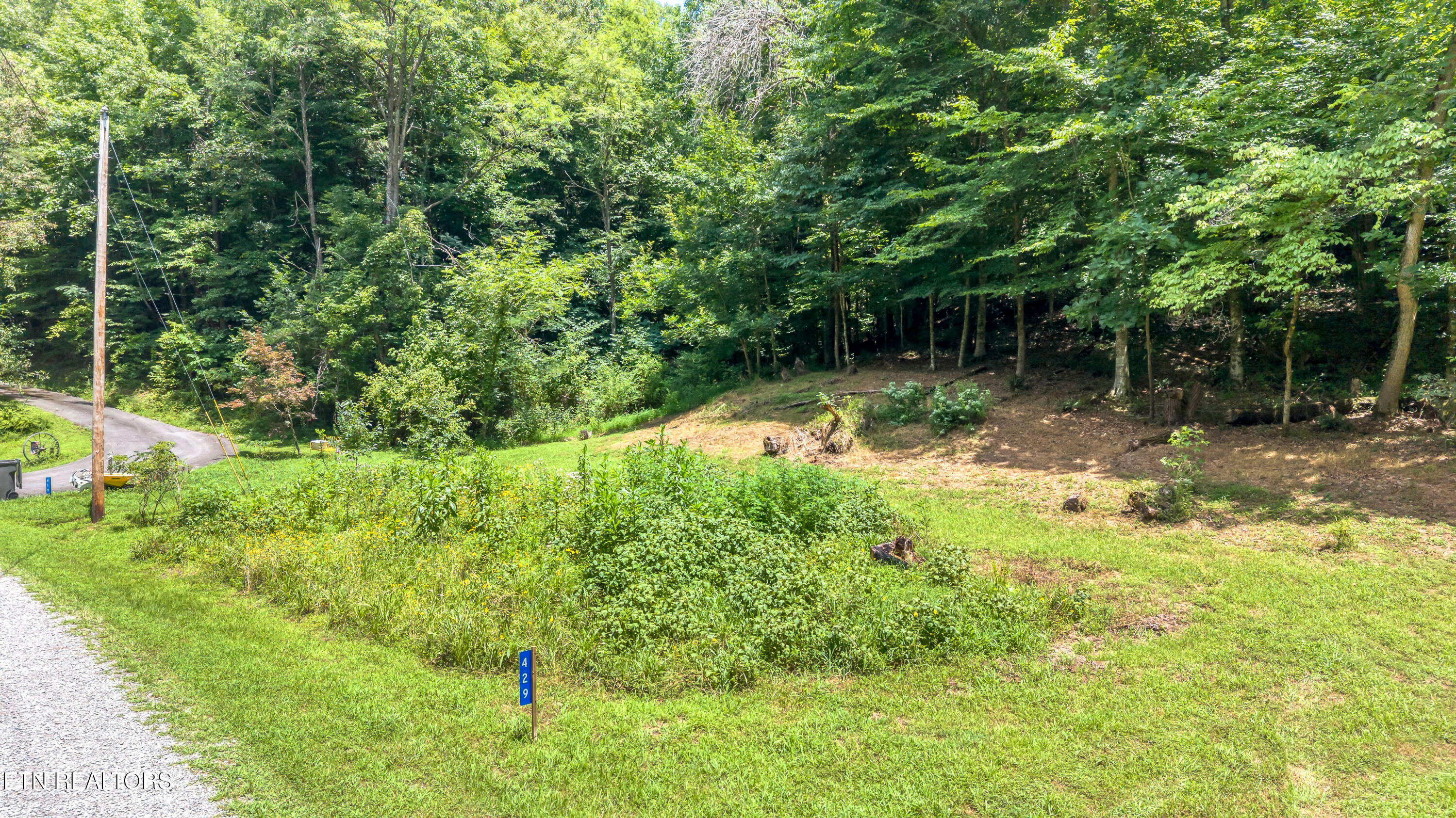 429 Trails End Road Walland, TN 37886 - Photo 4 of 26 DJI_20260720142149_0071_D-2