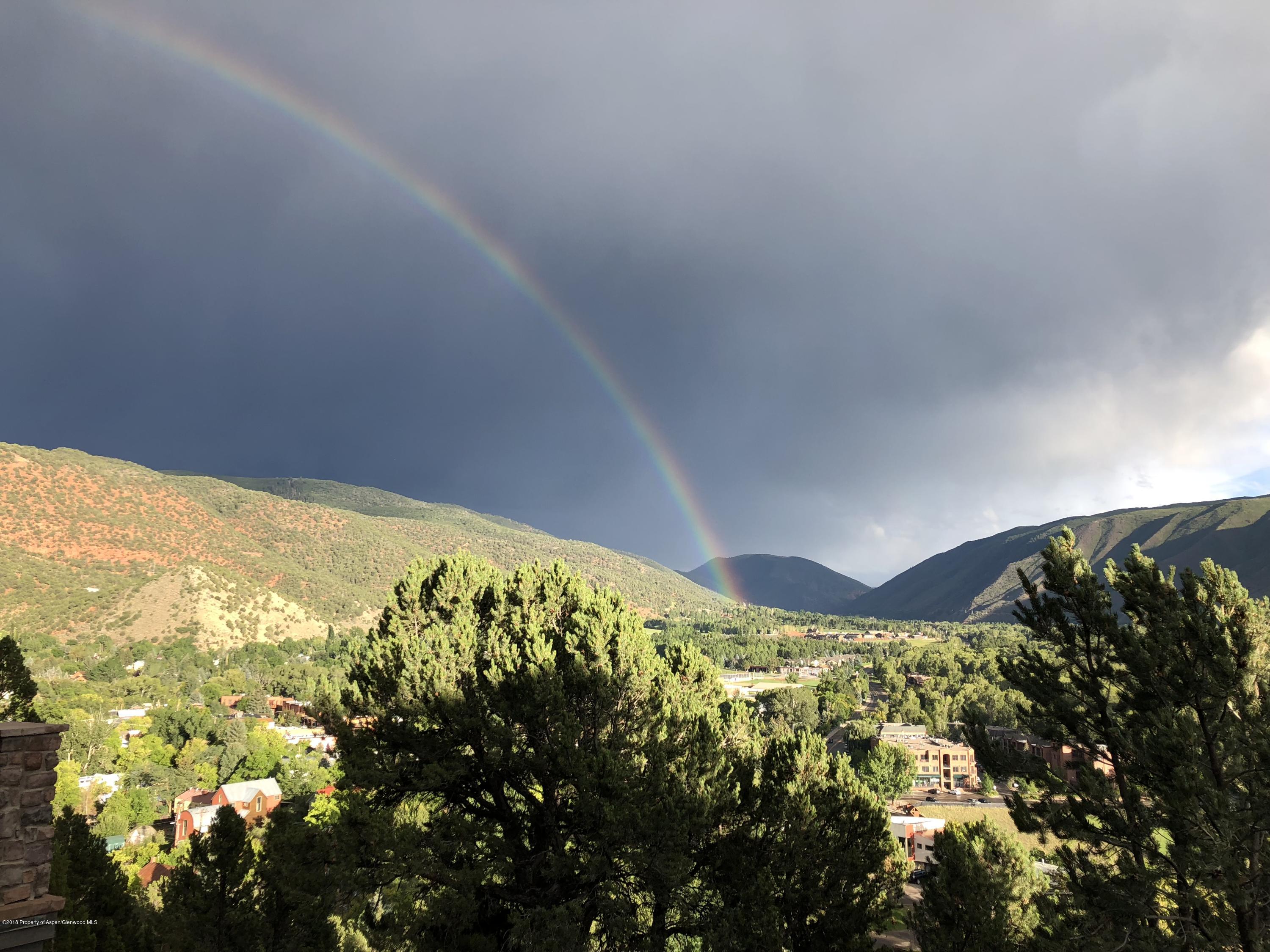 404 Wild Spring Lane Basalt, CO 81621 - Photo 4 of 25 a view of an outdoor space