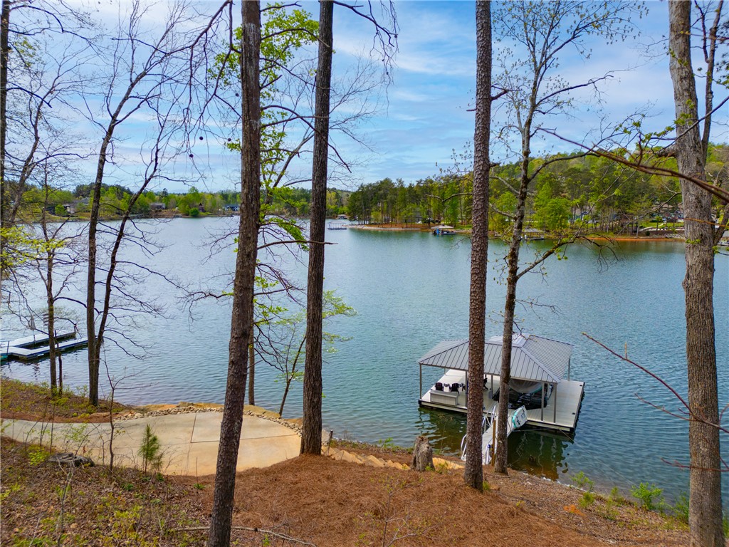 514 Ridge Vista Drive Salem, SC 29676 - Photo 37 of 39