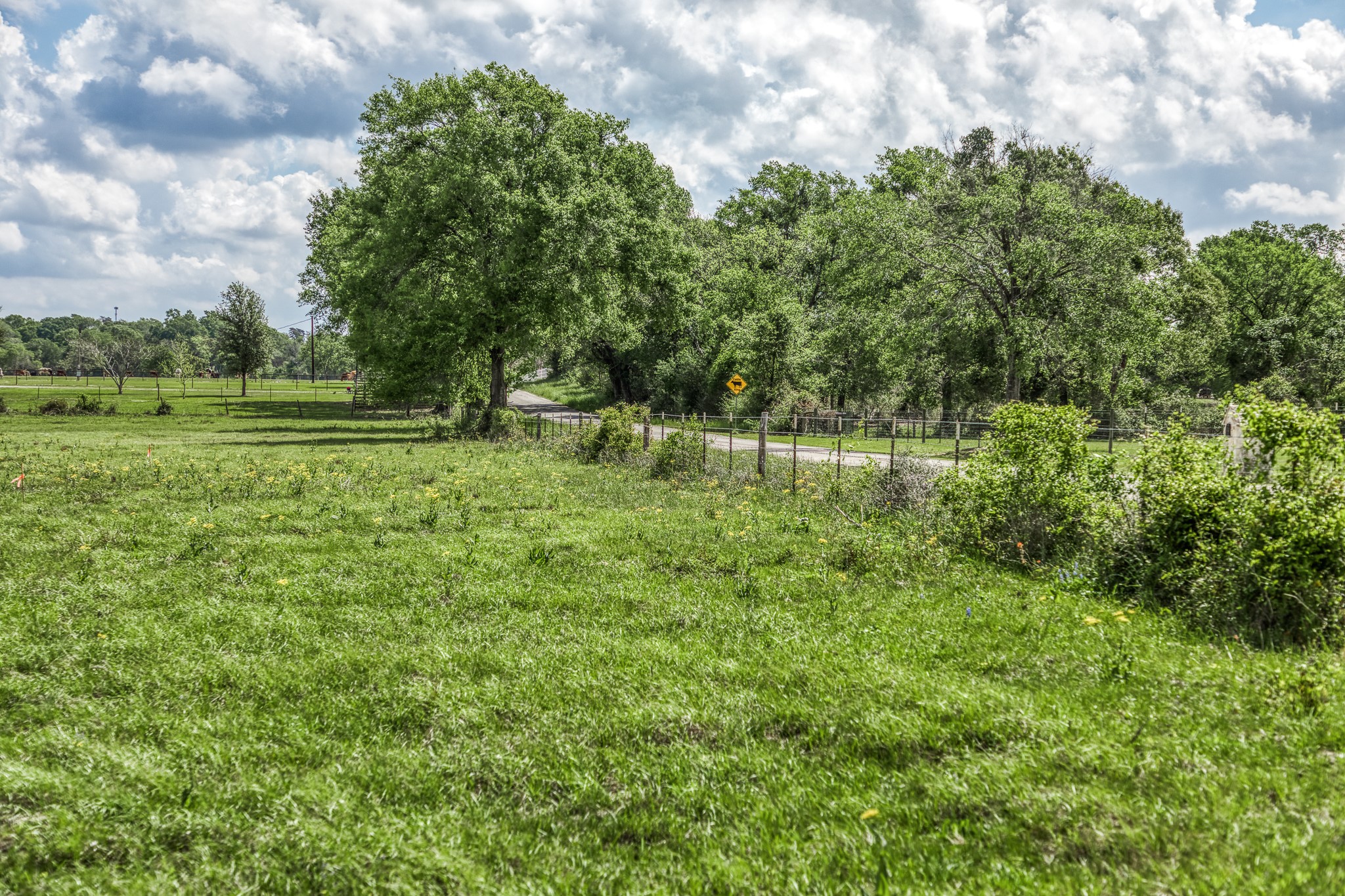 Tbd Henson Road Hempstead, TX 77445 - Photo 1 of 19