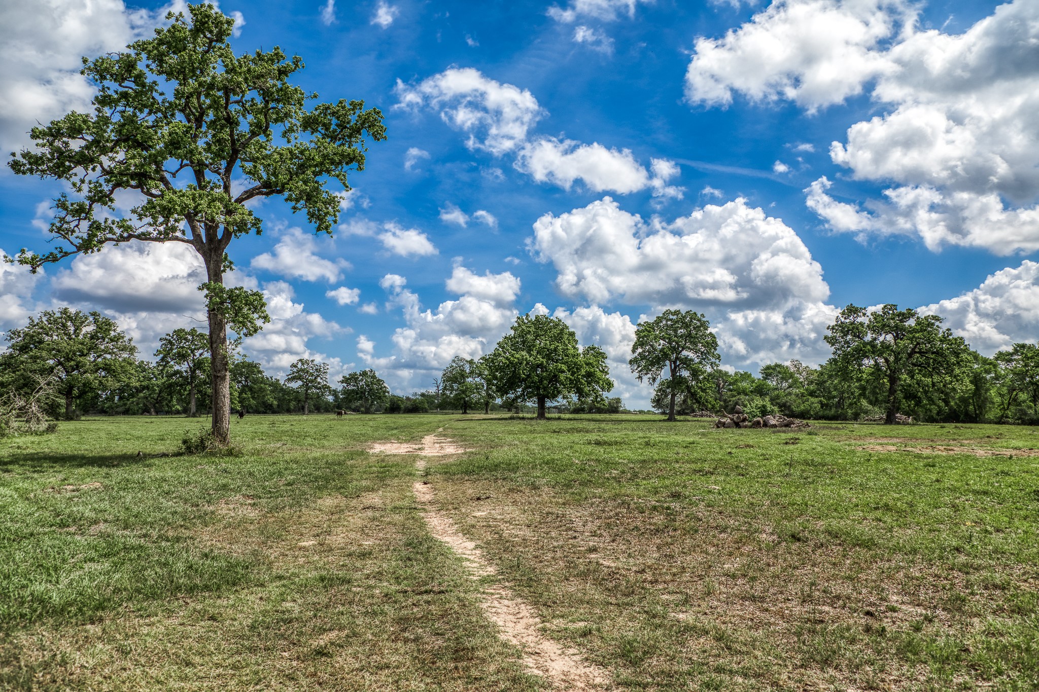 Tbd Henson Road Hempstead, TX 77445 - Photo 11 of 19