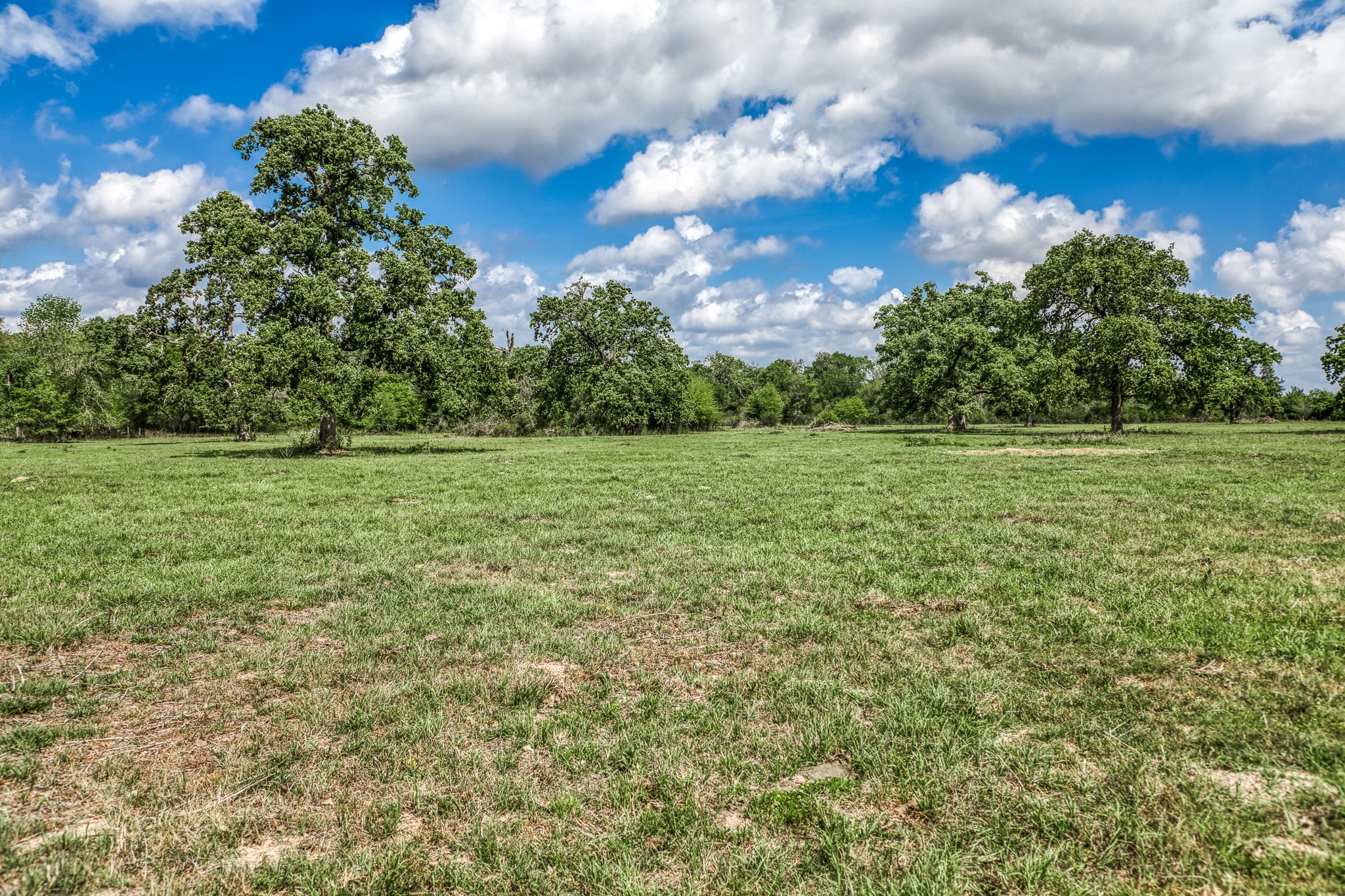 Tbd Henson Road Hempstead, TX 77445 - Photo 13 of 19