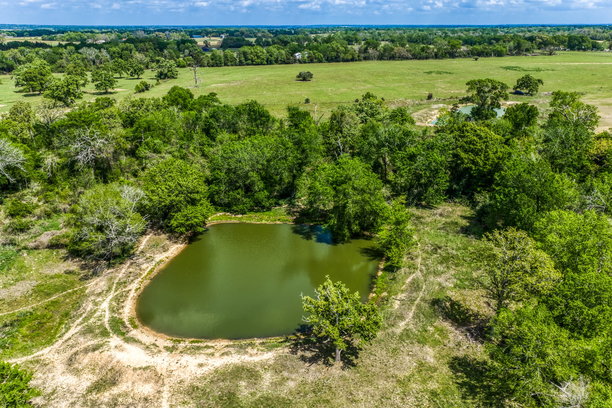Tbd Henson Road Hempstead, TX 77445 - Photo 16 of 19