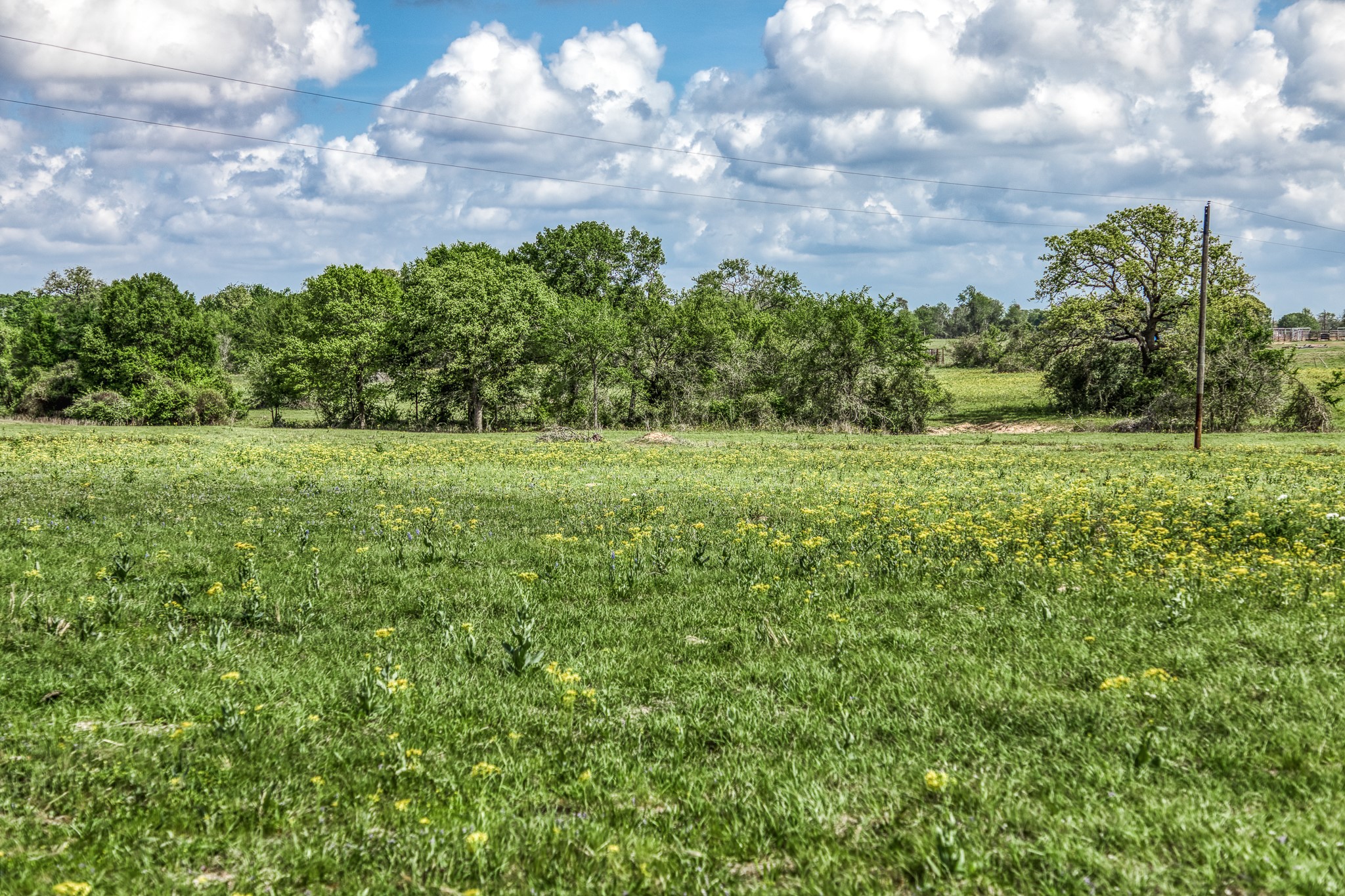 Tbd Henson Road Hempstead, TX 77445 - Photo 2 of 19