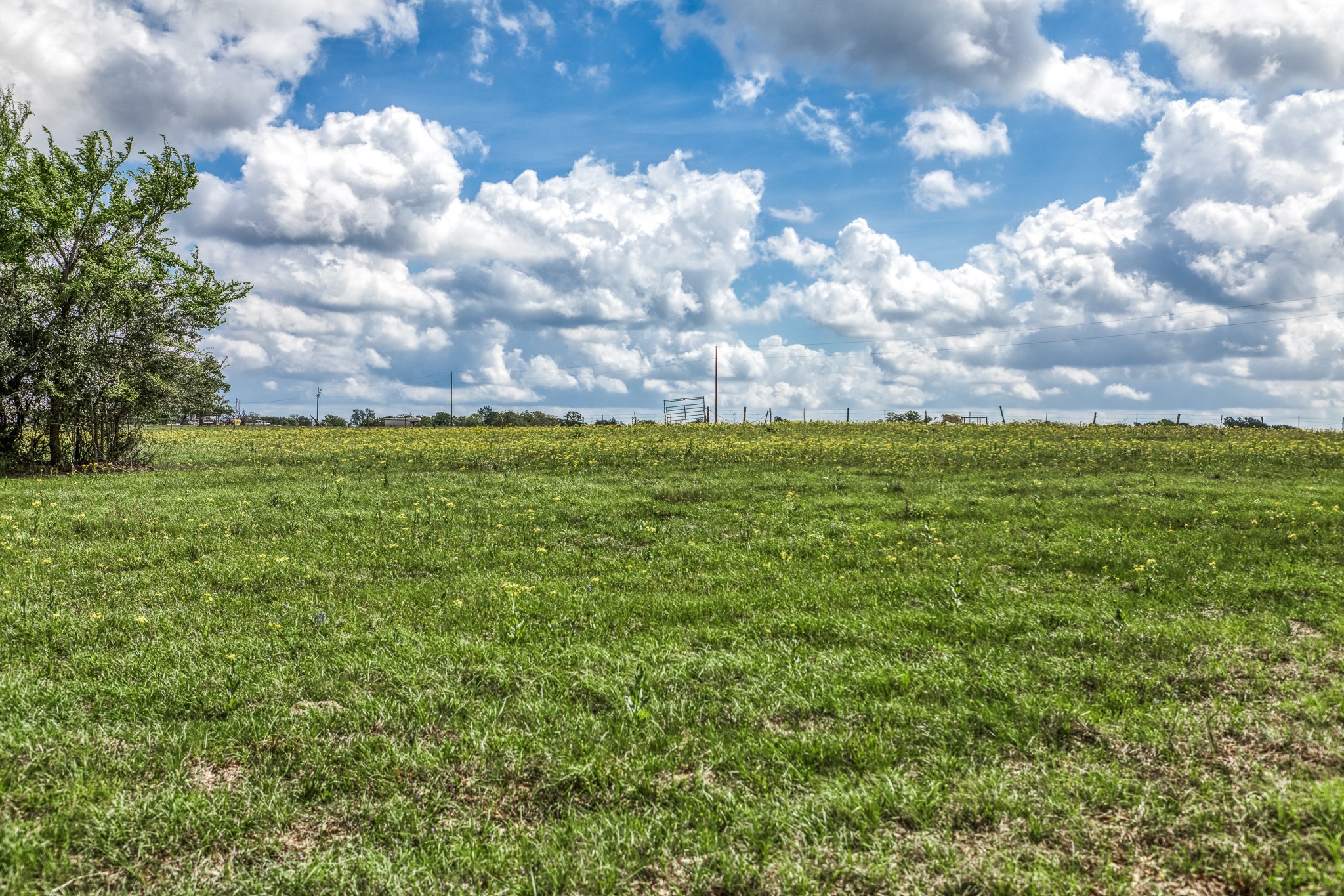 Tbd Henson Road Hempstead, TX 77445 - Photo 4 of 19