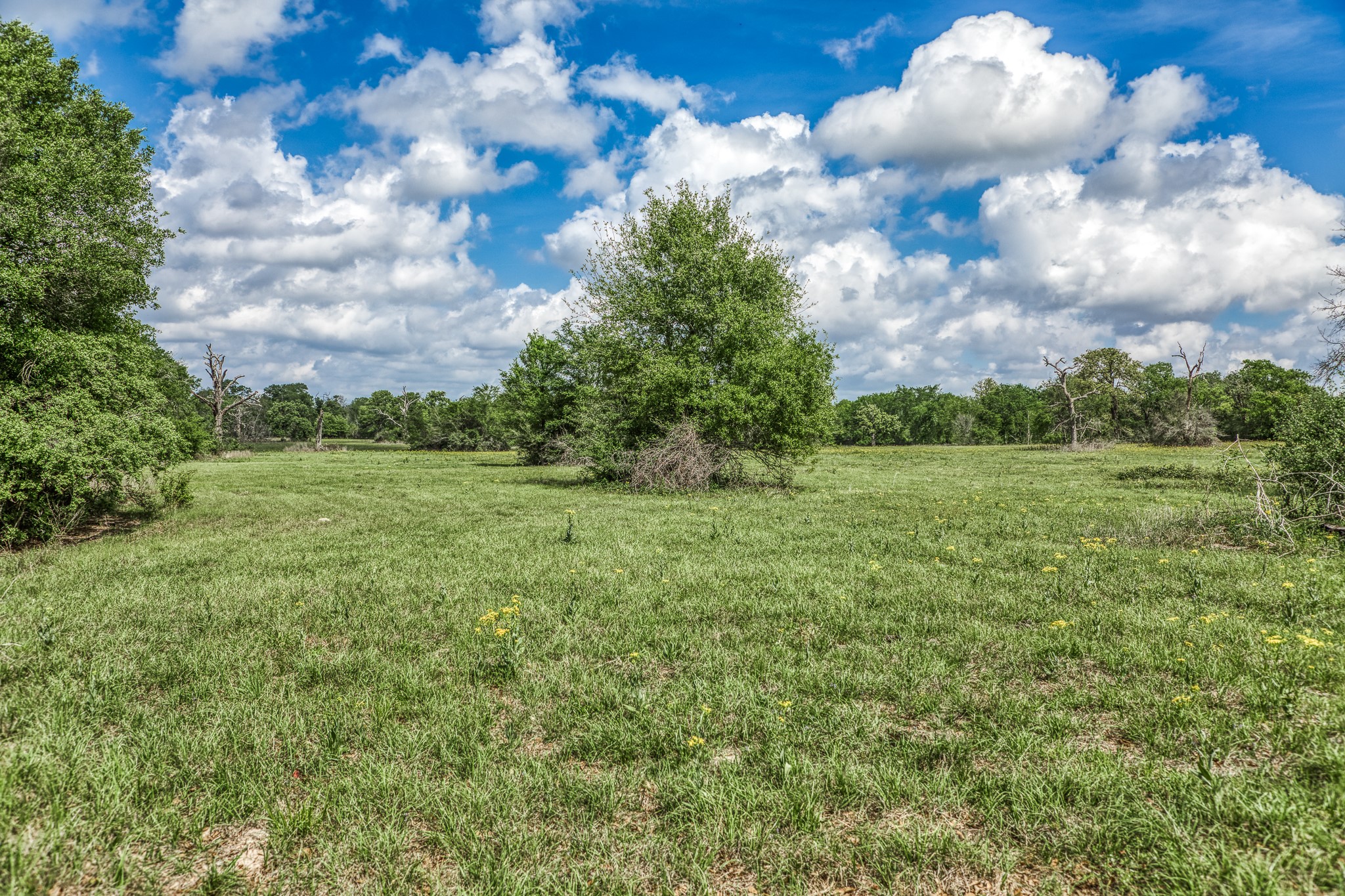 Tbd Henson Road Hempstead, TX 77445 - Photo 5 of 19