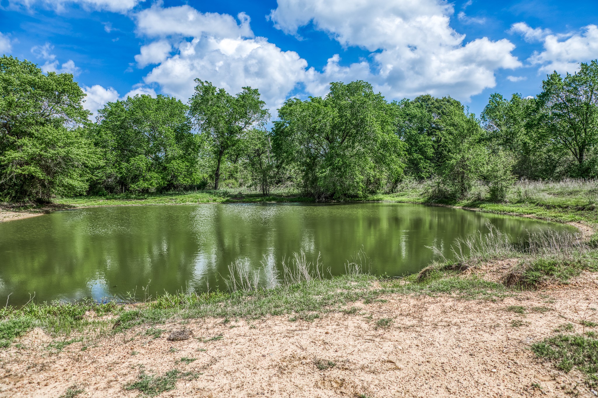 Tbd Henson Road Hempstead, TX 77445 - Photo 7 of 19