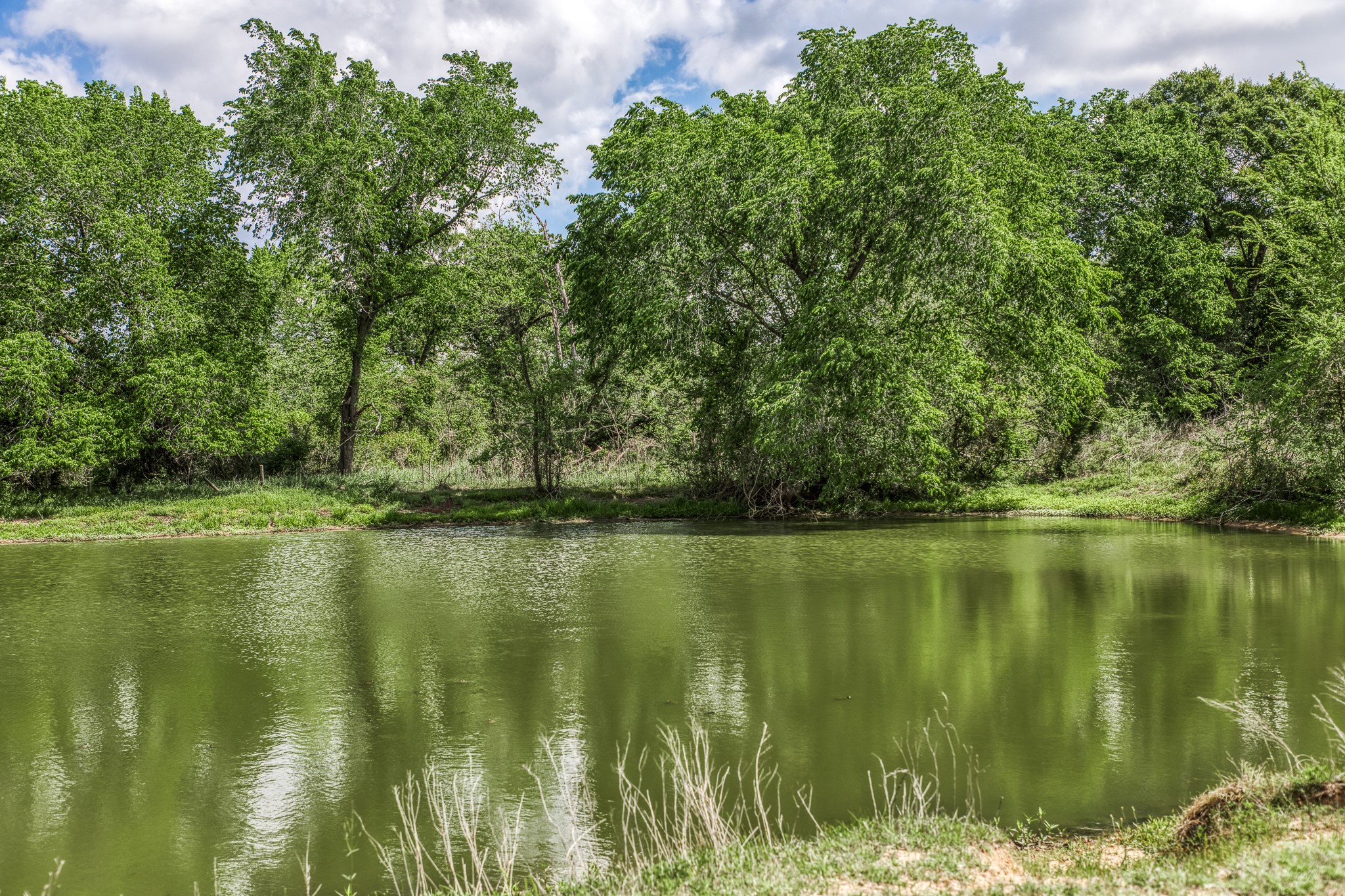 Tbd Henson Road Hempstead, TX 77445 - Photo 8 of 19