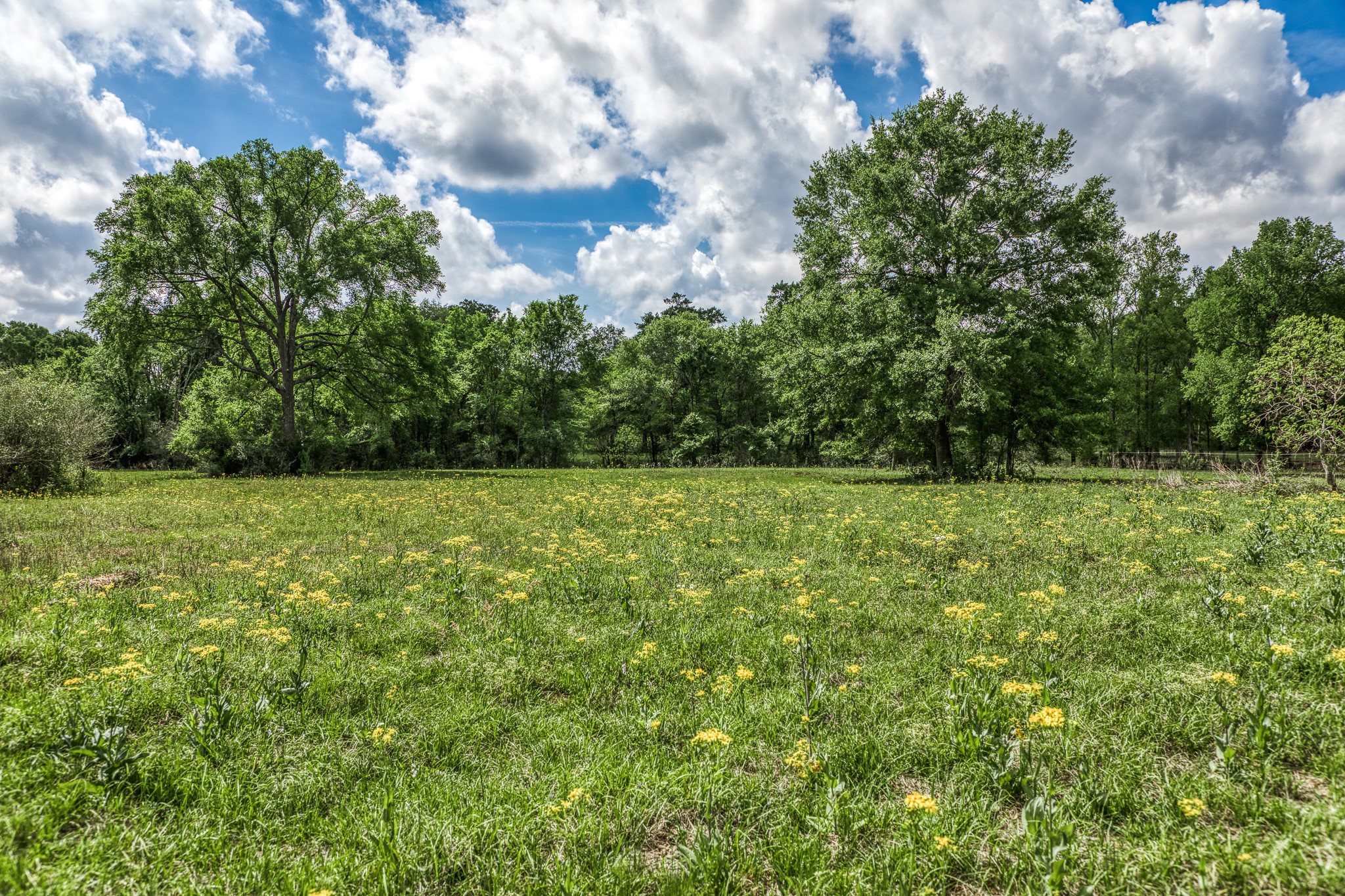 Tbd Henson Road Hempstead, TX 77445 - Photo 9 of 19