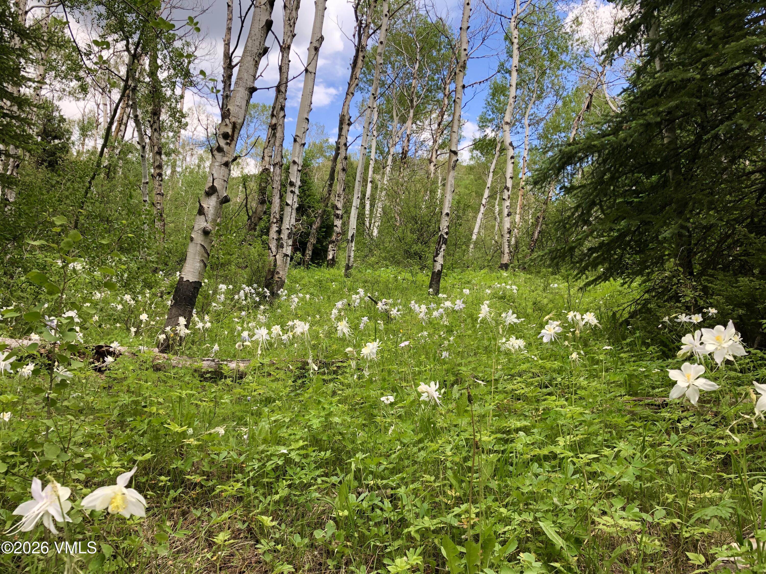 6010 Salt Creek Road Eagle, CO 81631 - Photo 58 of 69 Reconnect with nature