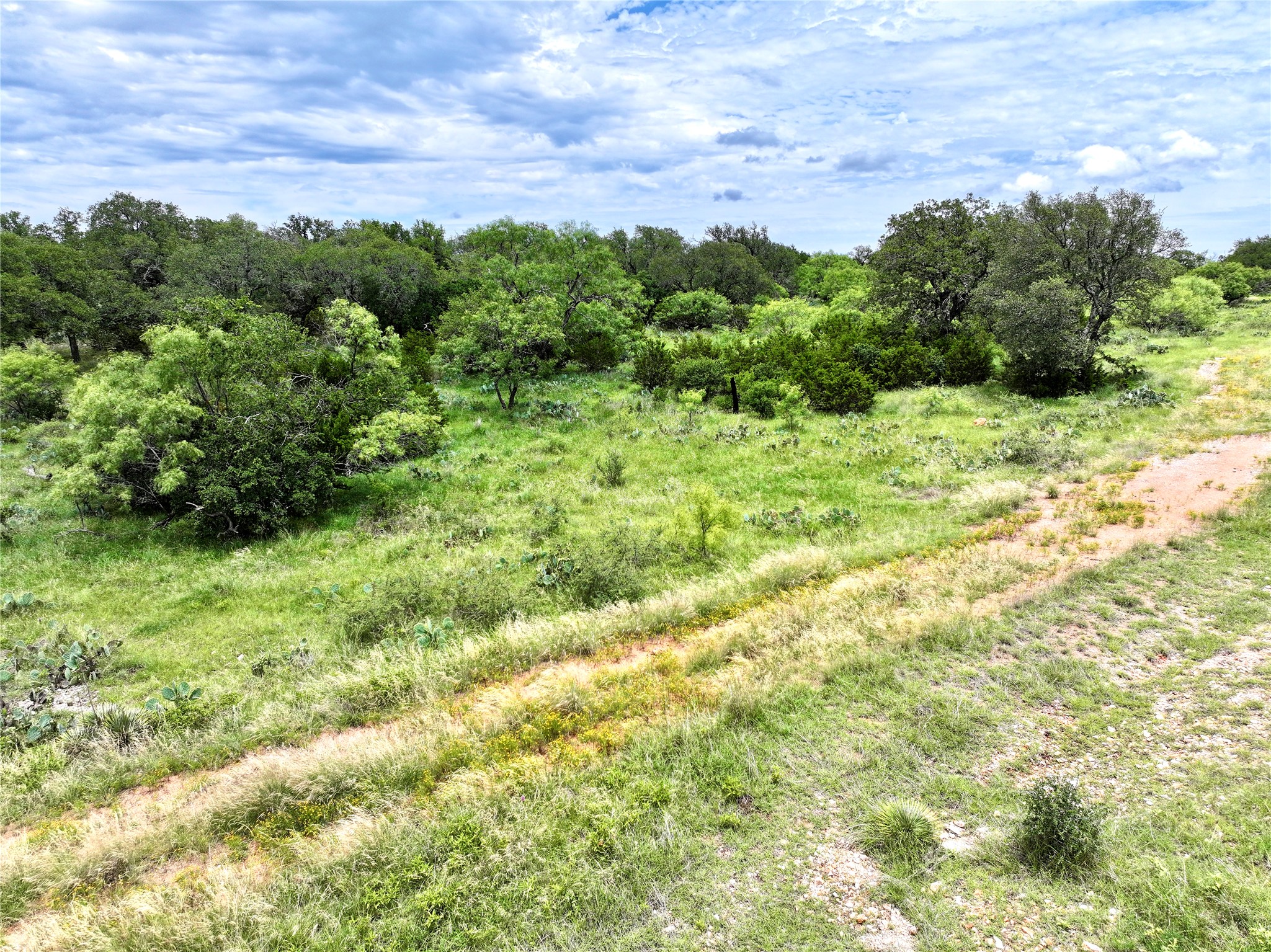 209 Rocky Holw Road San Saba, TX 76877 - Photo 3 of 8 View of undeveloped land
