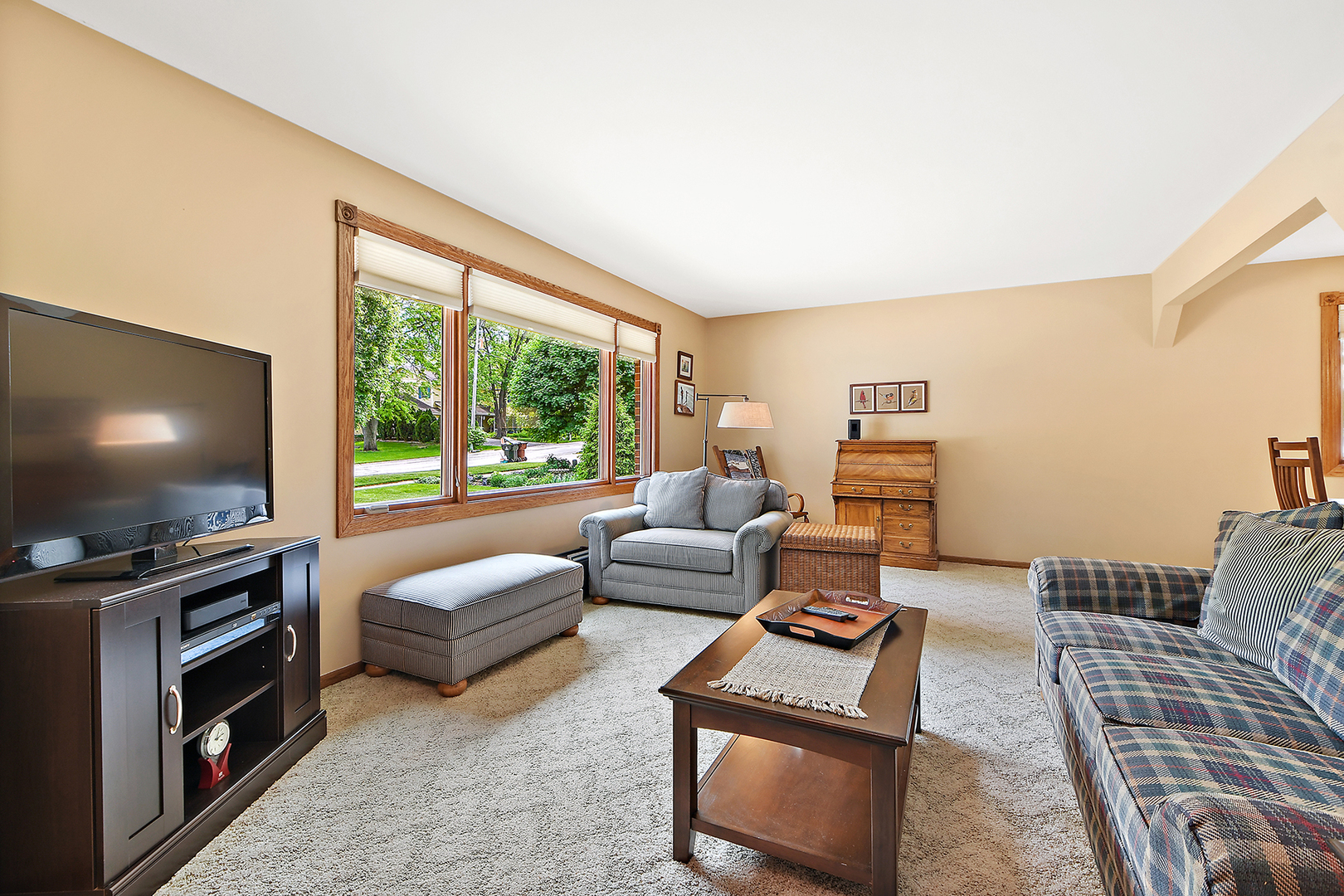 10918 3rd Street Mokena, IL 60448 - Photo 13 of 40 a living room with furniture a flat screen tv and a floor to ceiling window