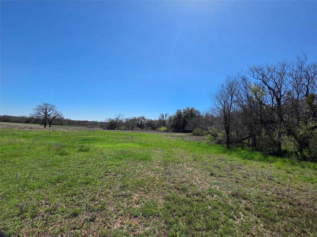 309 Highway 36 Gustine, TX 76455 - Photo 6 of 36 a view of grassy field with trees