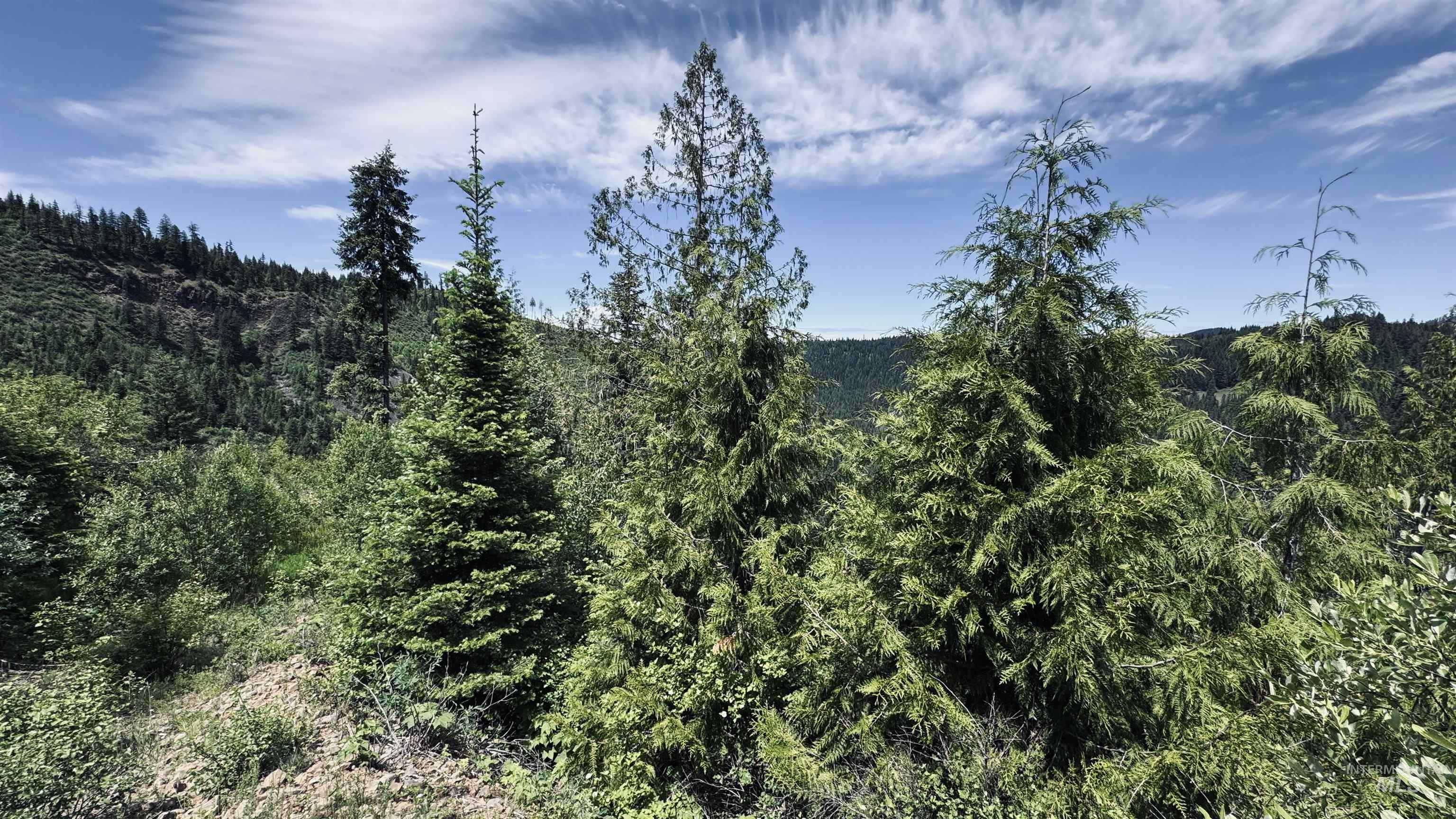 Tbd Glenwood Road Kamiah, ID 83536 - Photo 30 of 50