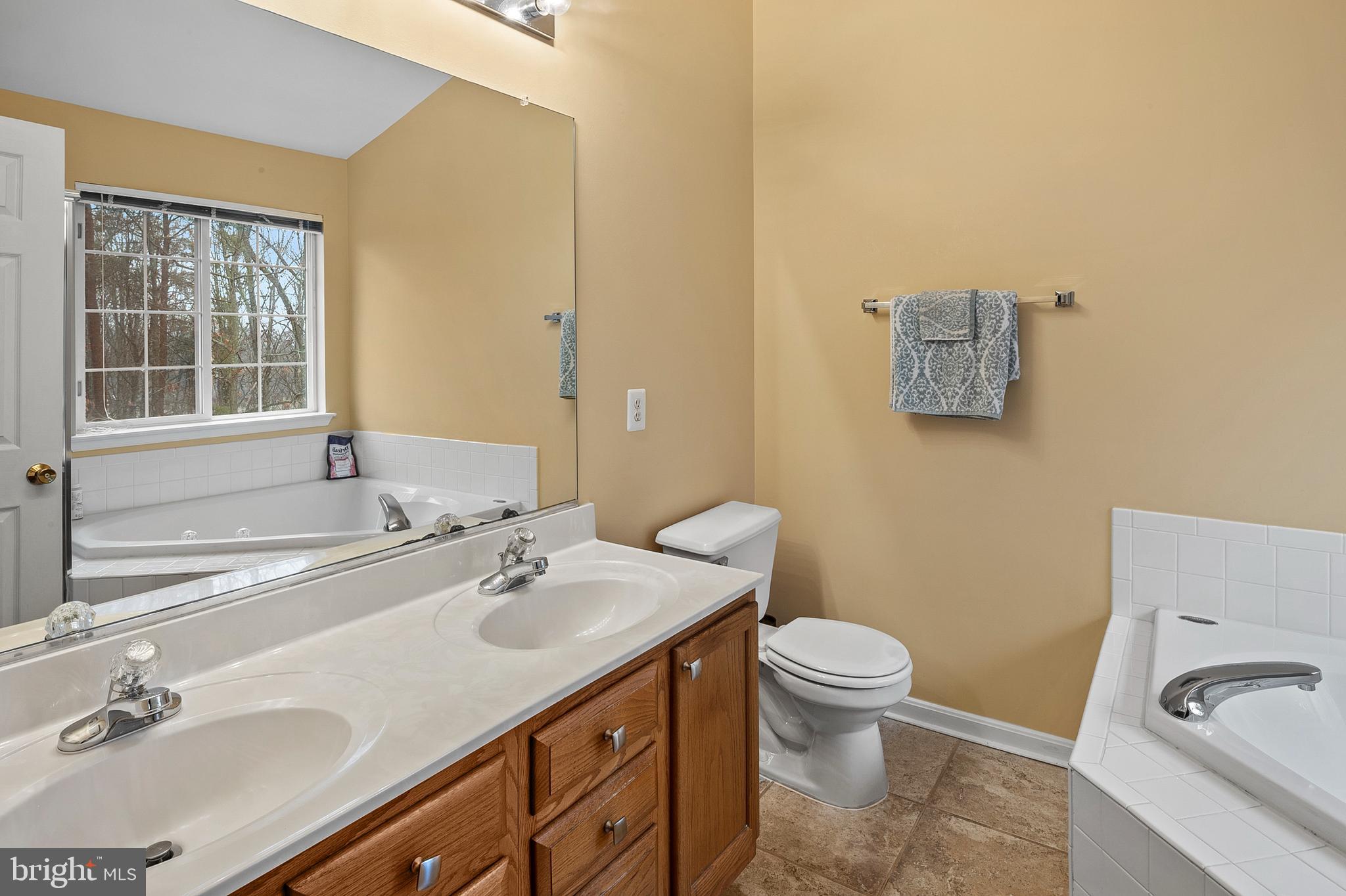 2720 Summers Ridge Drive Odenton, MD 21113 - Photo 17 of 29 a bathroom with a sink a toilet and a mirror