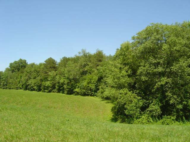 9999 Patton Road London, KY 40744 - Photo 4 of 28 Photo 4