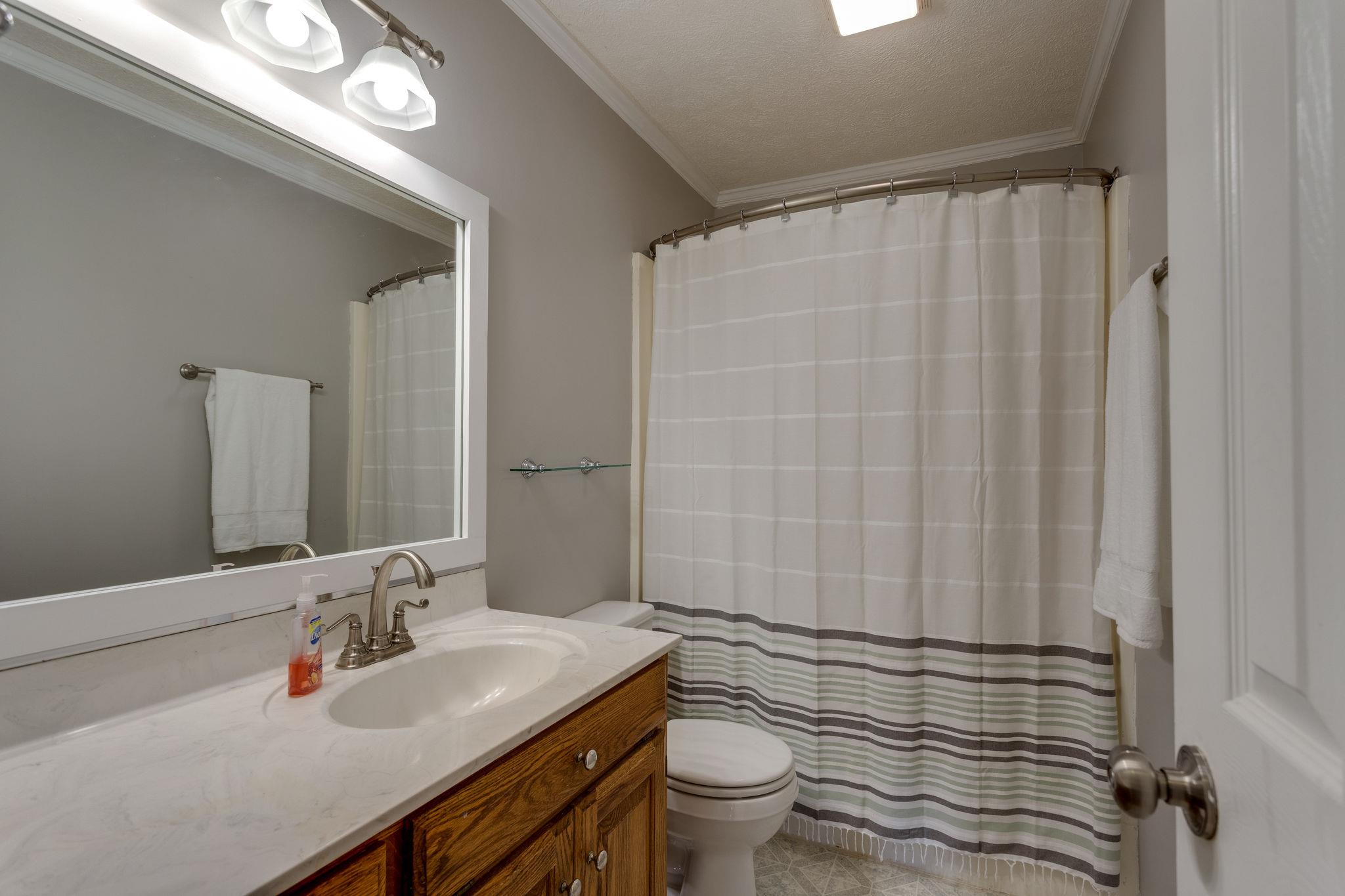 1489 Center Star Road Columbia, TN 38401 - Photo 19 of 27 a bathroom with a sink a toilet a mirror and shower curtain