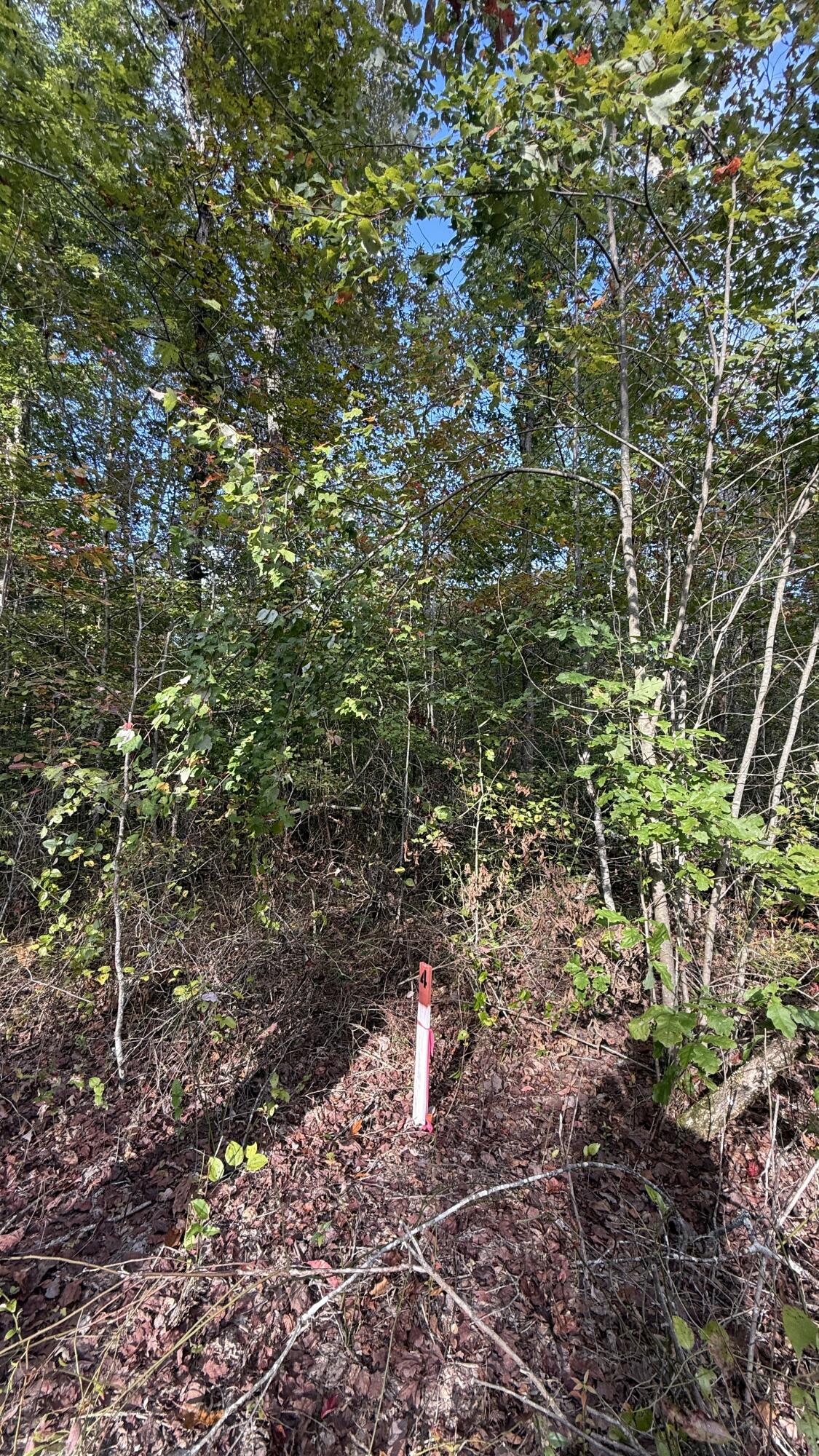 0 Owl Hollow Road, Unit LOT 4 Palmer, TN 37365 - Photo 12 of 14 IMG_2695