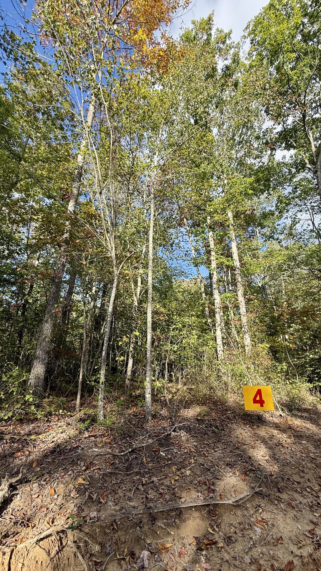 0 Owl Hollow Road, Unit LOT 4 Palmer, TN 37365 - Photo 13 of 14 IMG_2694