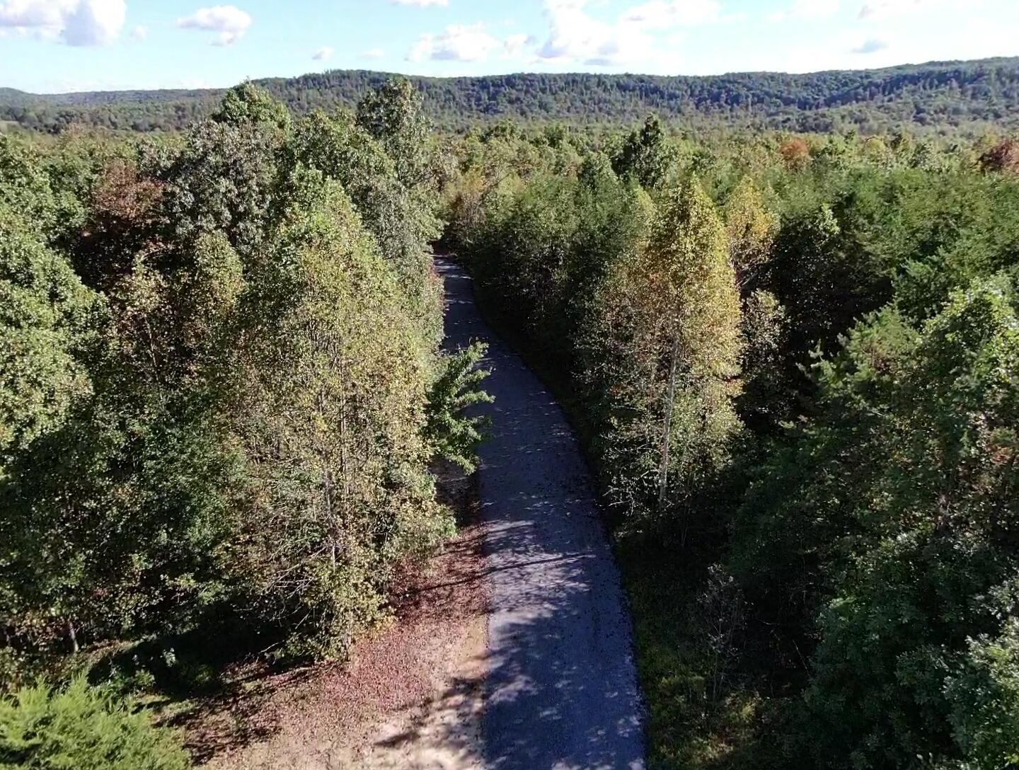 0 Owl Hollow Road, Unit LOT 4 Palmer, TN 37365 - Photo 3 of 14 screen_dbf654716c28c4ba_1759468279382