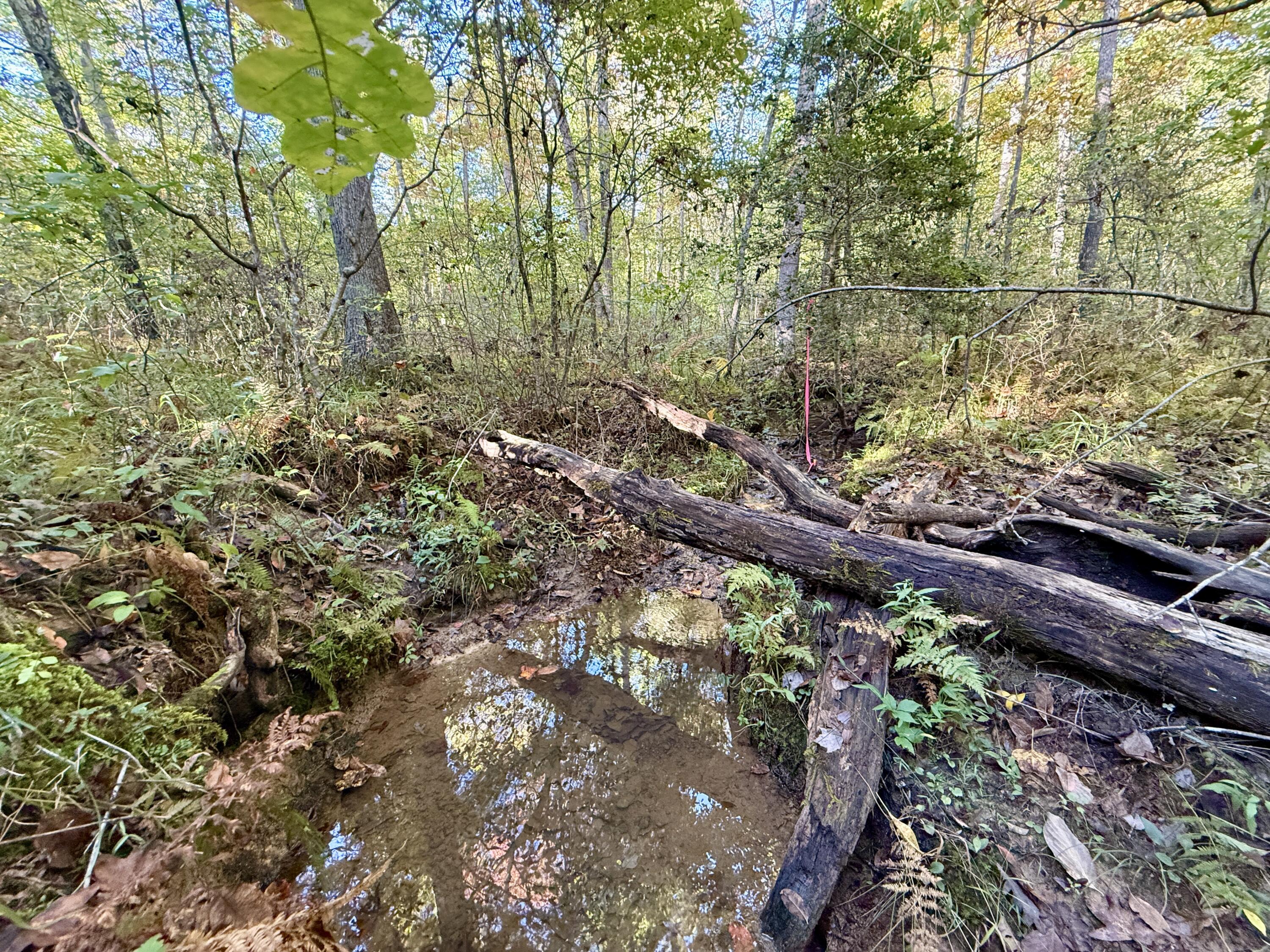 0 Owl Hollow Road, Unit LOT 4 Palmer, TN 37365 - Photo 4 of 14 IMG_2703