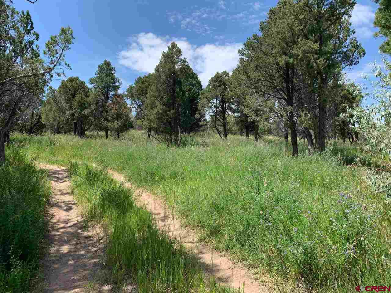 678 3375th Road Crawford, CO 81415 - Photo 35 of 42 Gallery Image 35