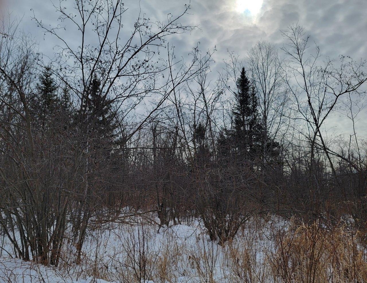 Off North Weirgor Road, Unit 5 ACRES Exeland, WI 54835 - Photo 6 of 10 Gallery Image 6