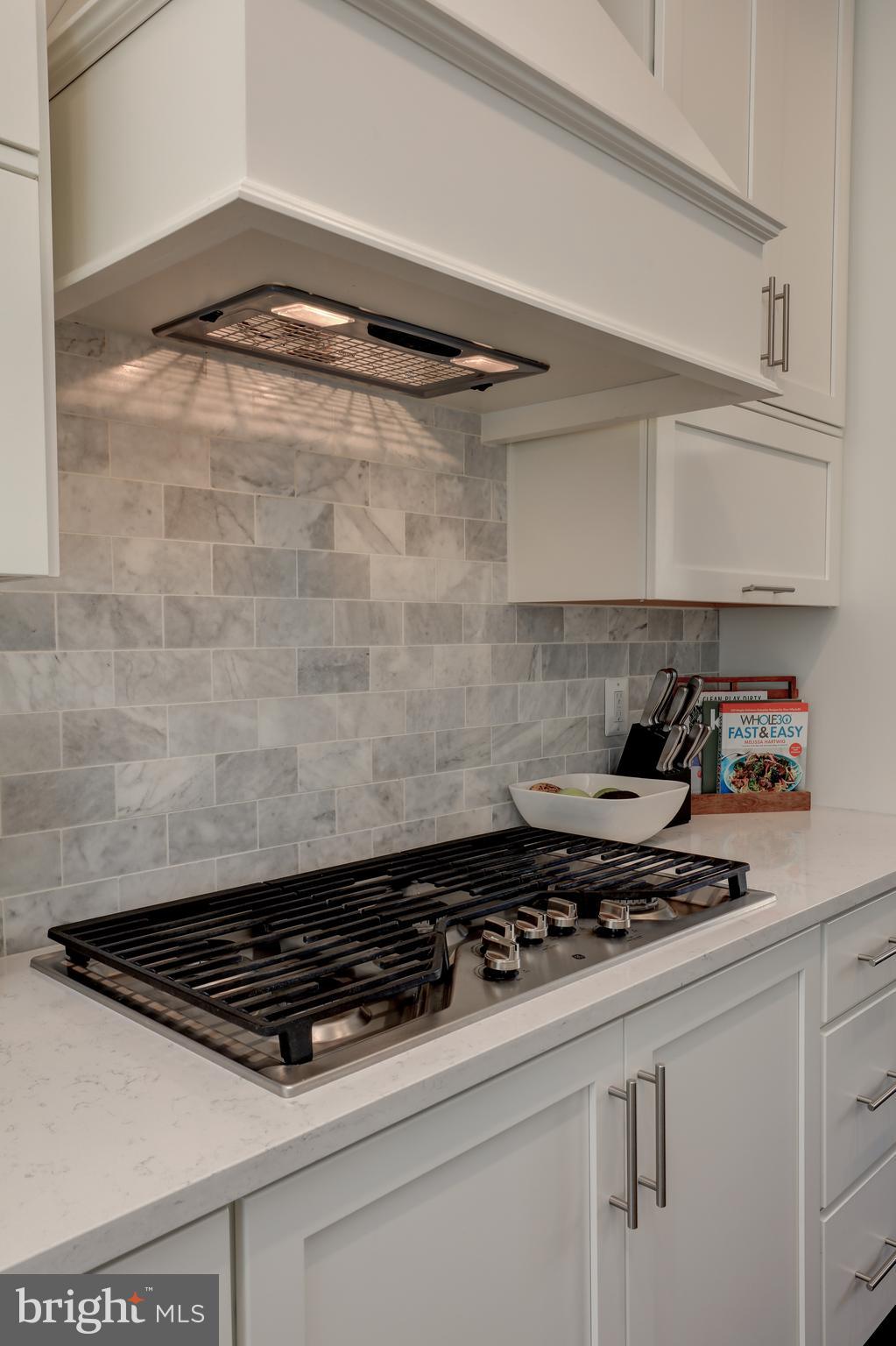 42307 Impervious Terrace Brambleton, VA 20148 - Photo 14 of 54 gas stove top with range hood vent out