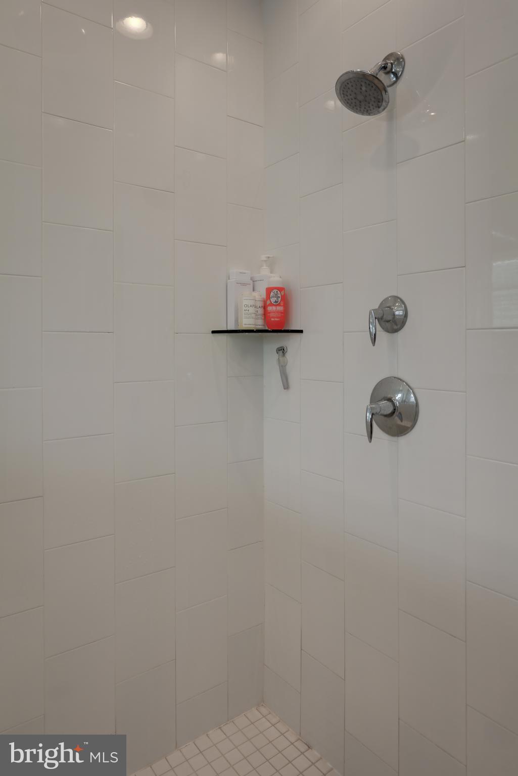 42307 Impervious Terrace Brambleton, VA 20148 - Photo 29 of 54 large wide shower with seat