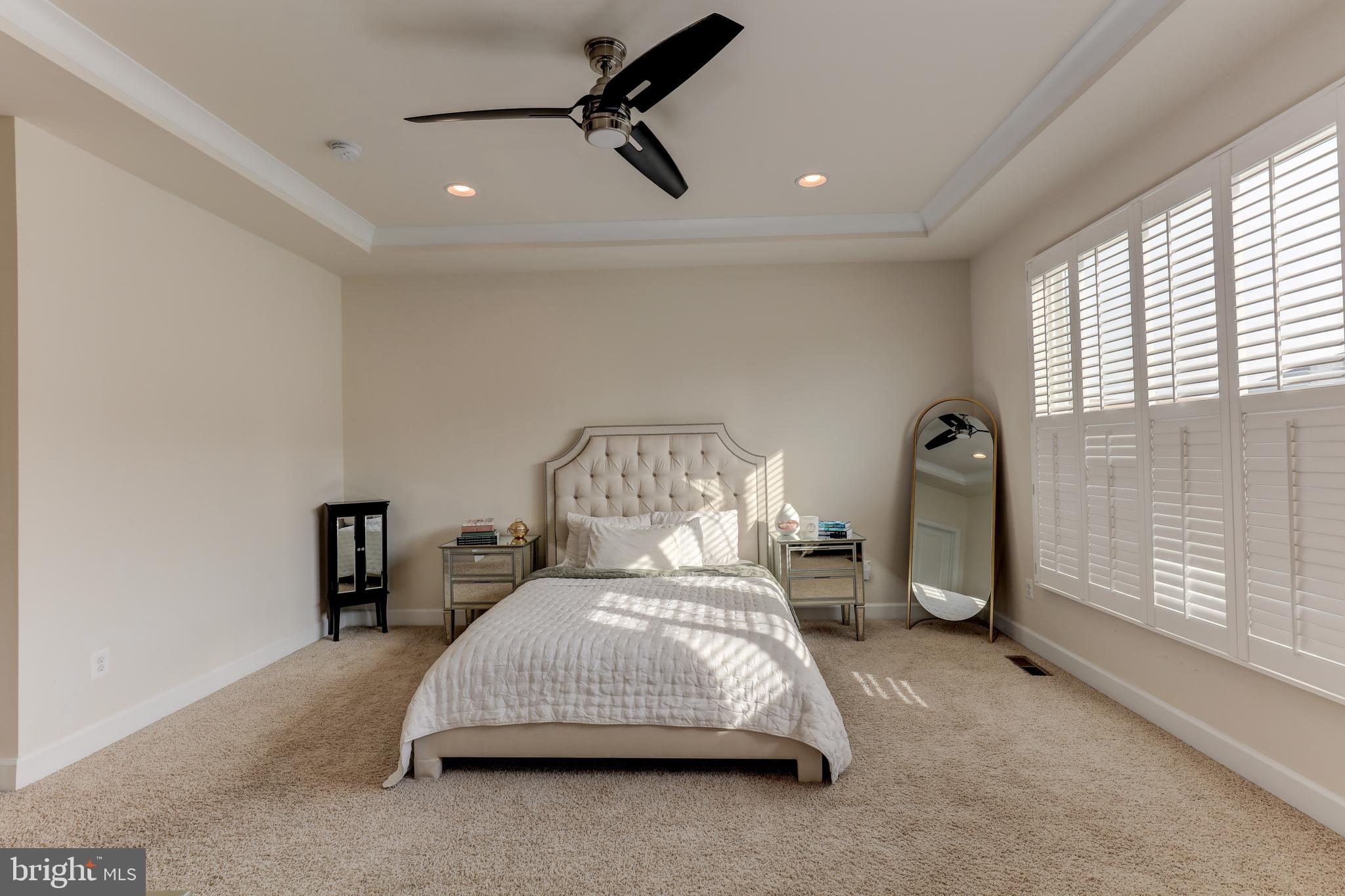 42307 Impervious Terrace Brambleton, VA 20148 - Photo 31 of 54 with tray ceiling