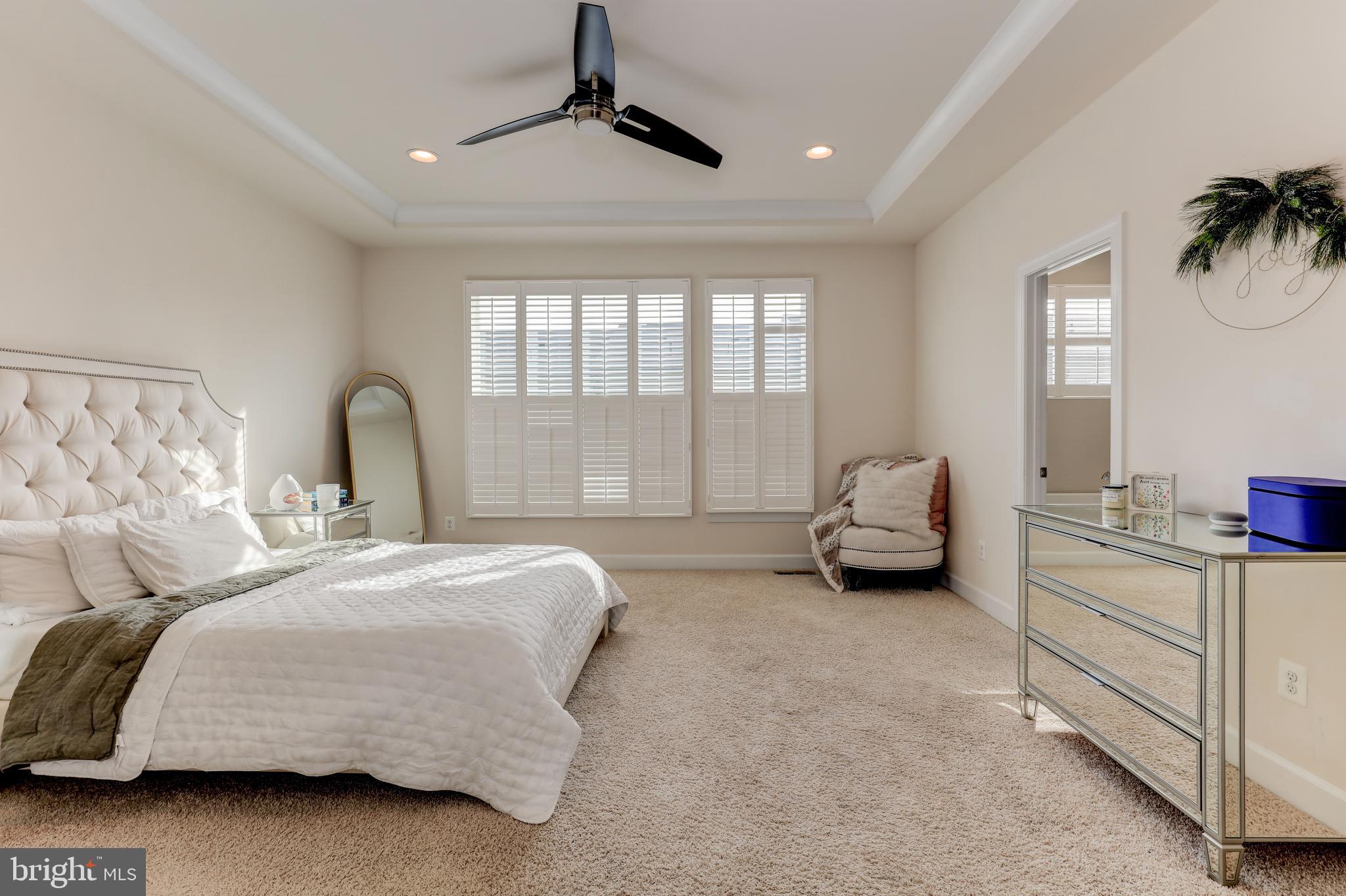 42307 Impervious Terrace Brambleton, VA 20148 - Photo 33 of 54 has lots of natural light or just a little