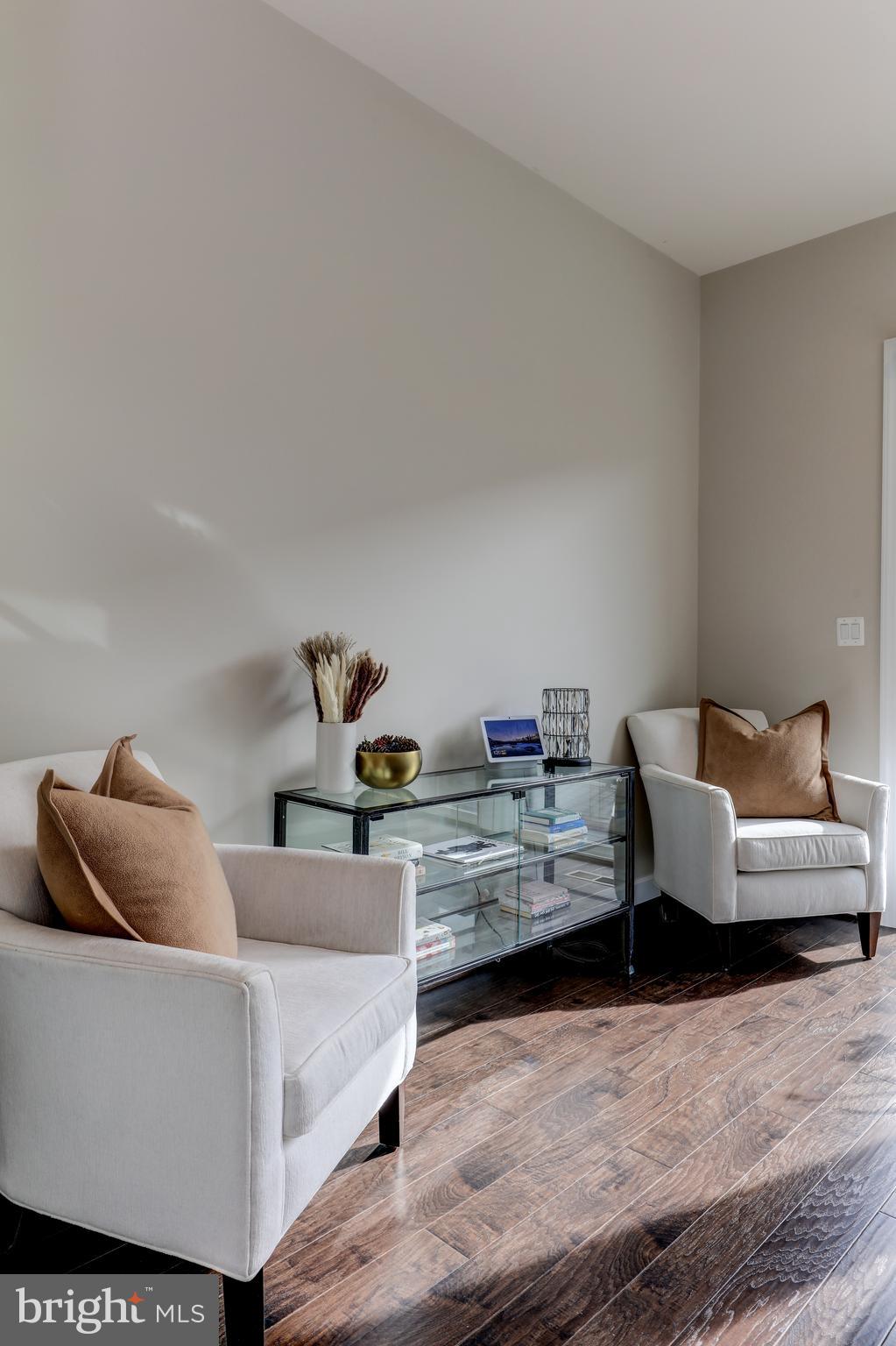 42307 Impervious Terrace Brambleton, VA 20148 - Photo 5 of 54 living room extension