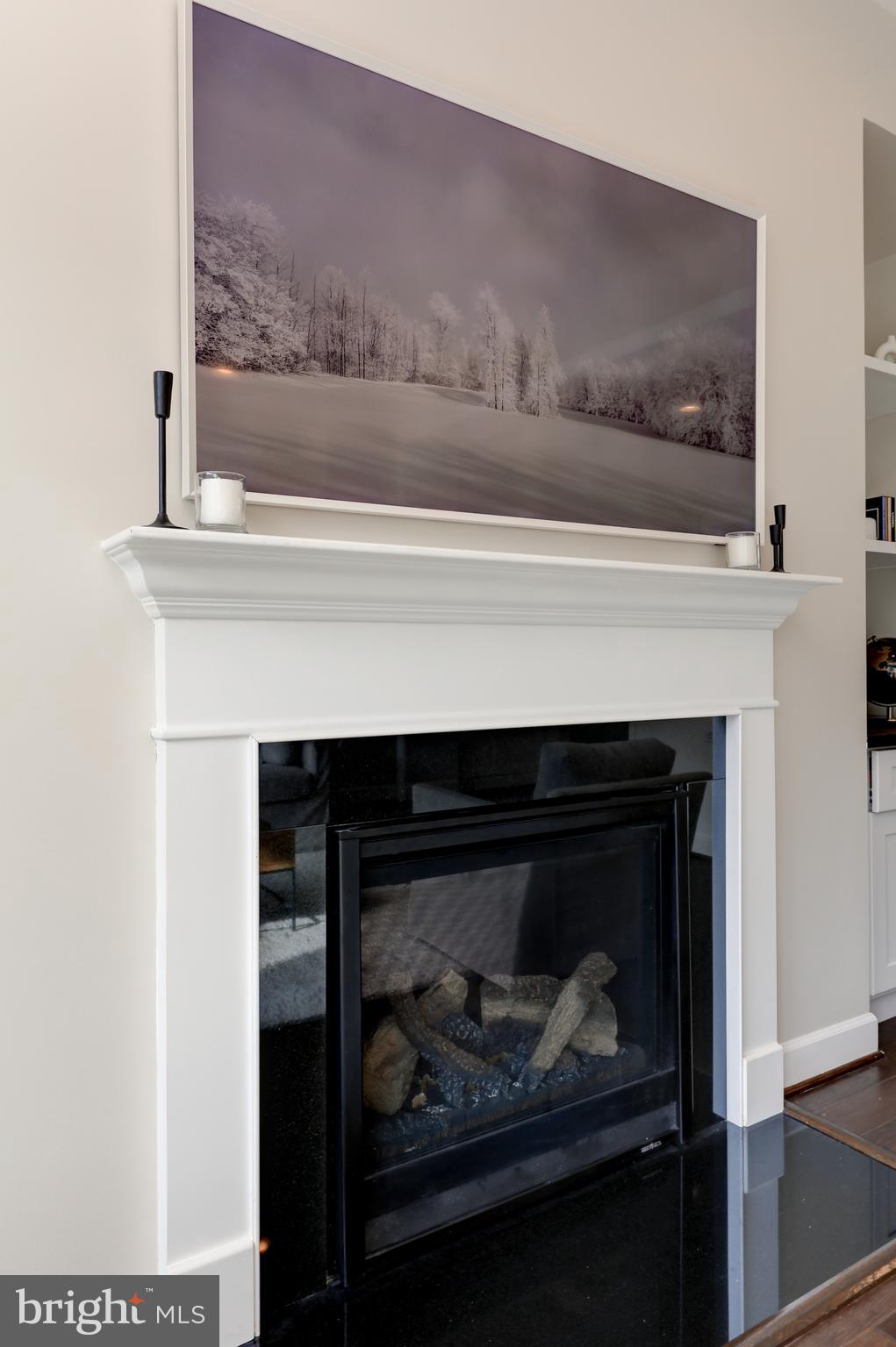 42307 Impervious Terrace Brambleton, VA 20148 - Photo 10 of 54 gas fireplace with surround