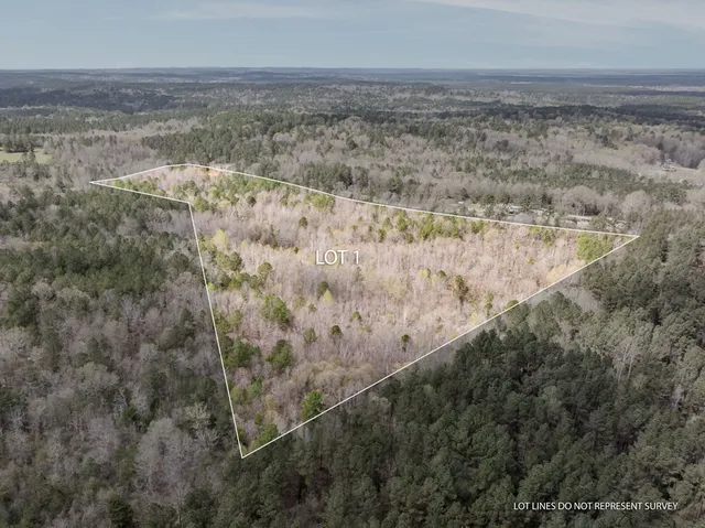 $84,900 | 1 Co Road, Pachuta, MS 39347