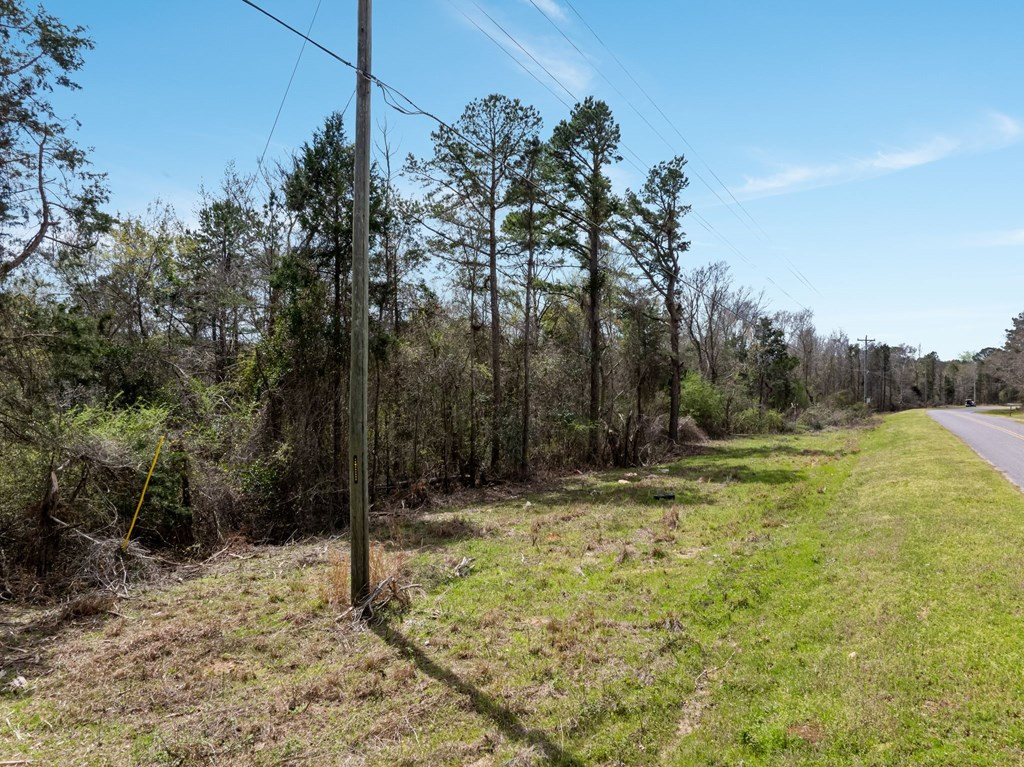 1 Co Road Pachuta, MS 39347 - Photo 4 of 10 Photo 4