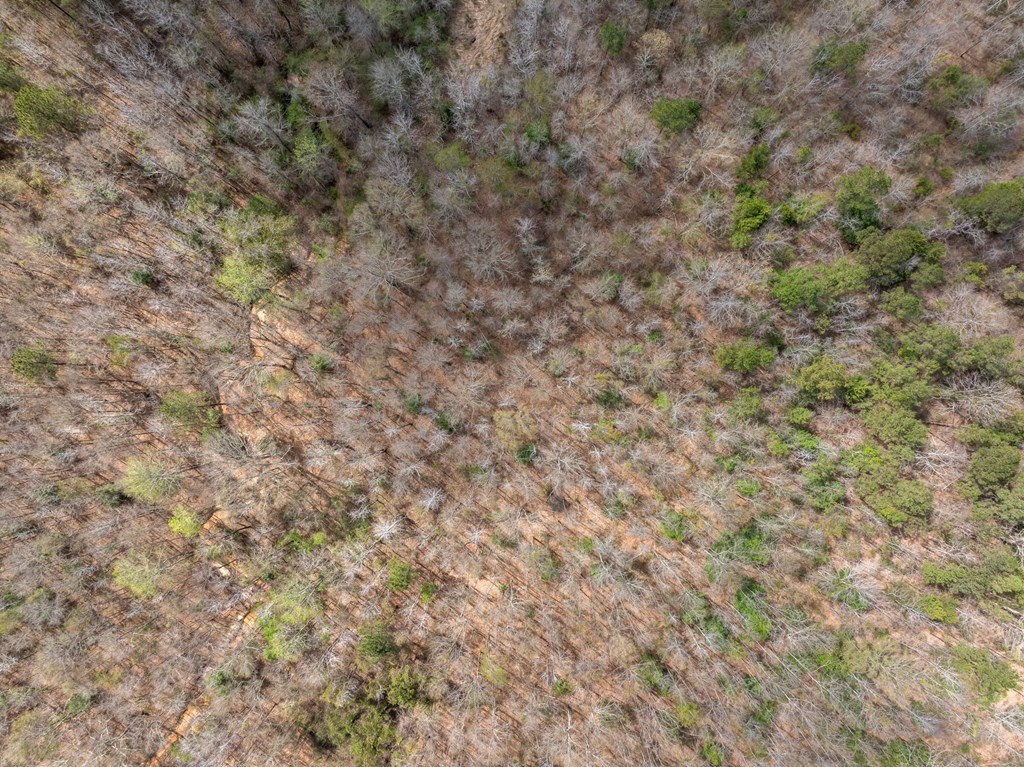 1 Co Road Pachuta, MS 39347 - Photo 9 of 10 Photo 9