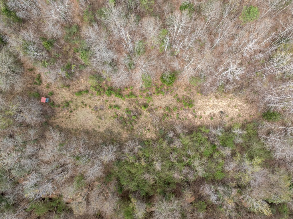 1 Co Road Pachuta, MS 39347 - Photo 10 of 10 Photo 10