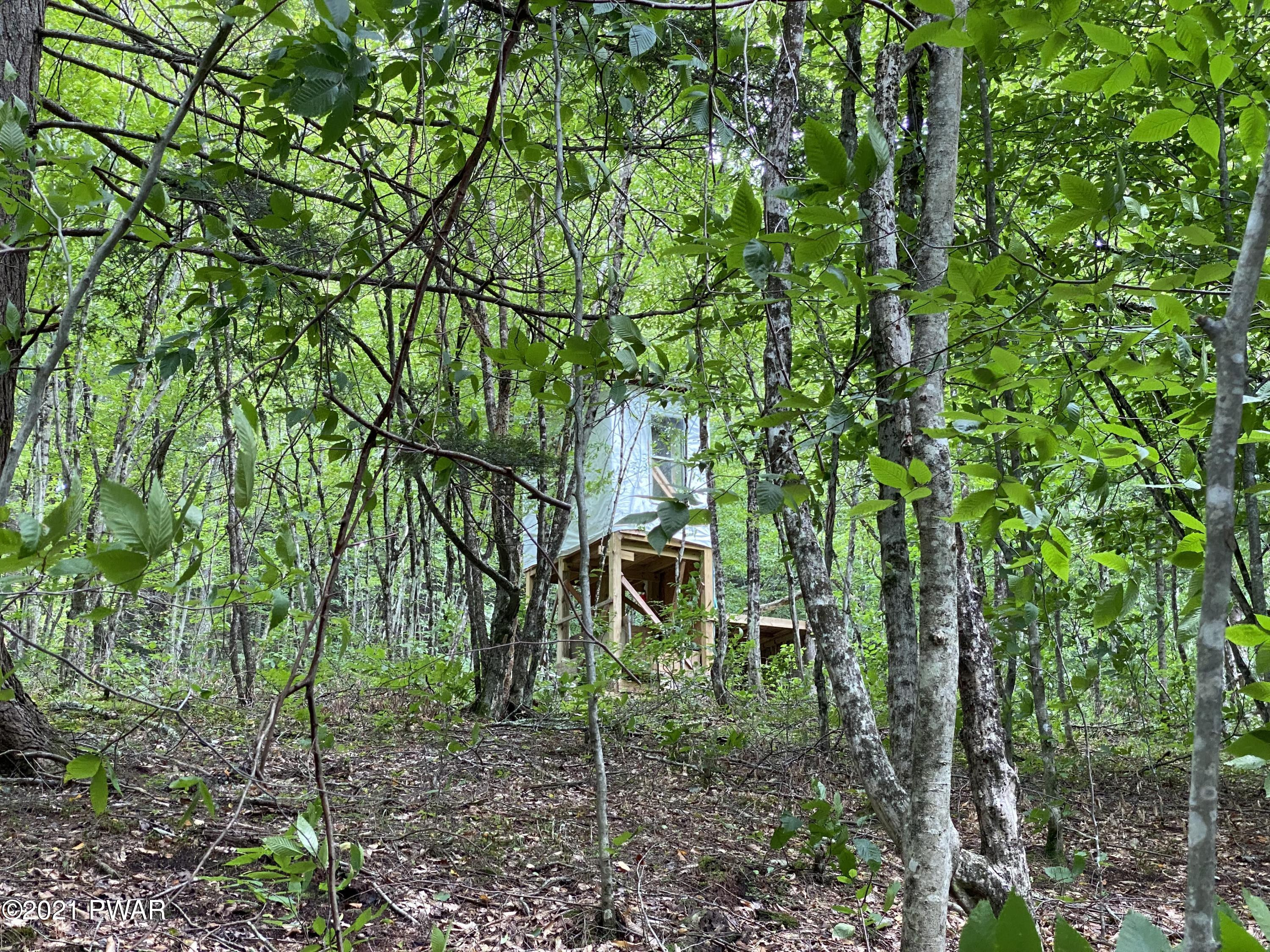 Layton Road Equinunk, PA 18417 - Photo 6 of 12 Hunting Stand