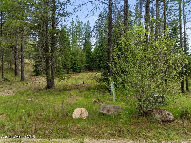 $479,000 | Two 5 Acre Lots On Amethyst, Cocolalla, ID 83813