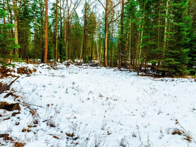 $479,000 | Two 5 Acre Lots On Amethyst, Cocolalla, ID 83813