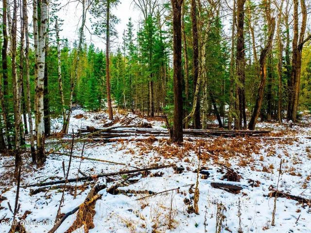 $479,000 | Two 5 Acre Lots On Amethyst, Cocolalla, ID 83813