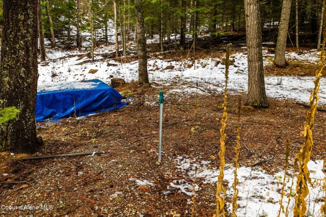 $479,000 | Two 5 Acre Lots On Amethyst, Cocolalla, ID 83813