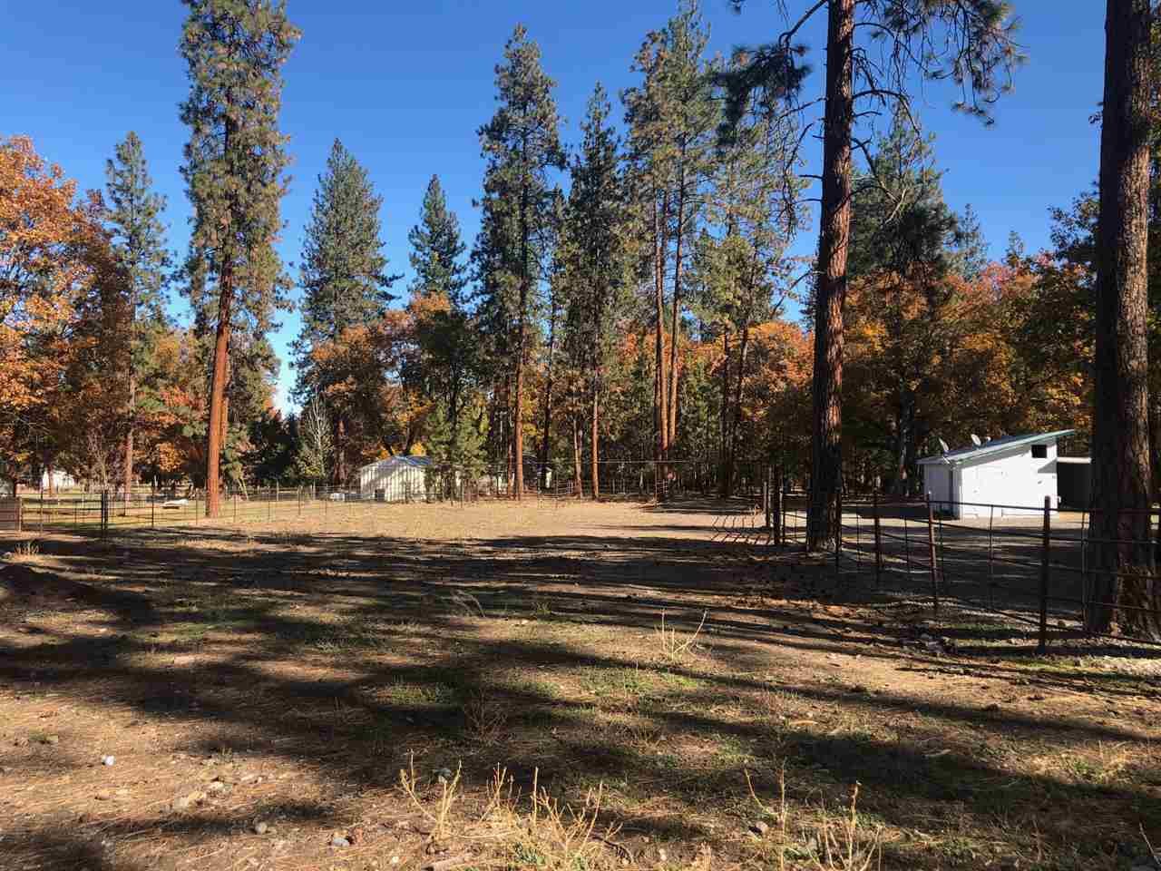 830 Dewitt Park Road Yreka, CA 96097 - Photo 19 of 25 Gallery Image 19