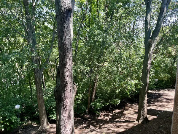 $1,750 | 5817 Oakwood Drive, Unit D, Lisle, IL 60532