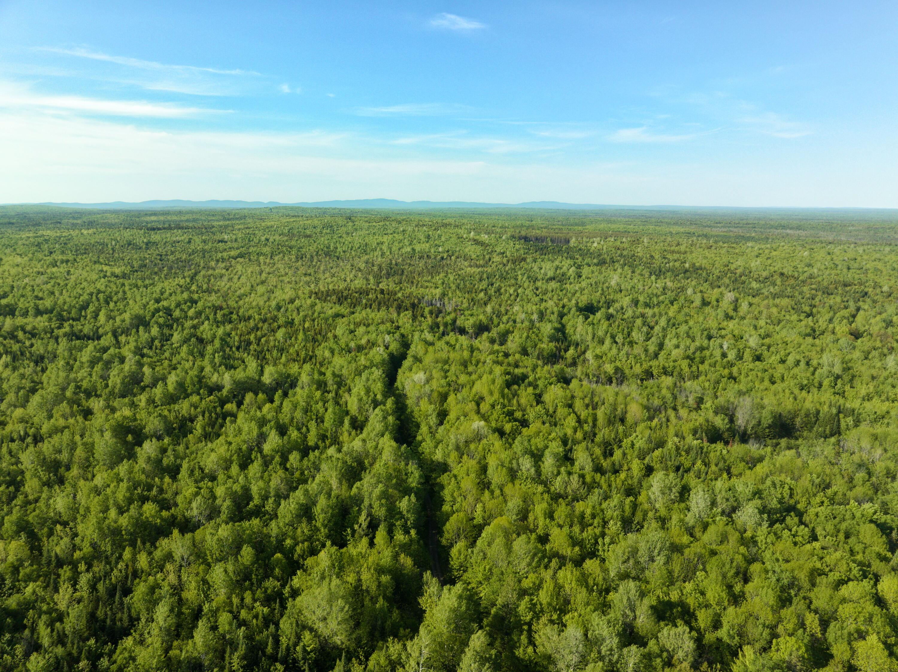 0 Dixie Road Wytopitlock, ME 04497 - Photo 4 of 22