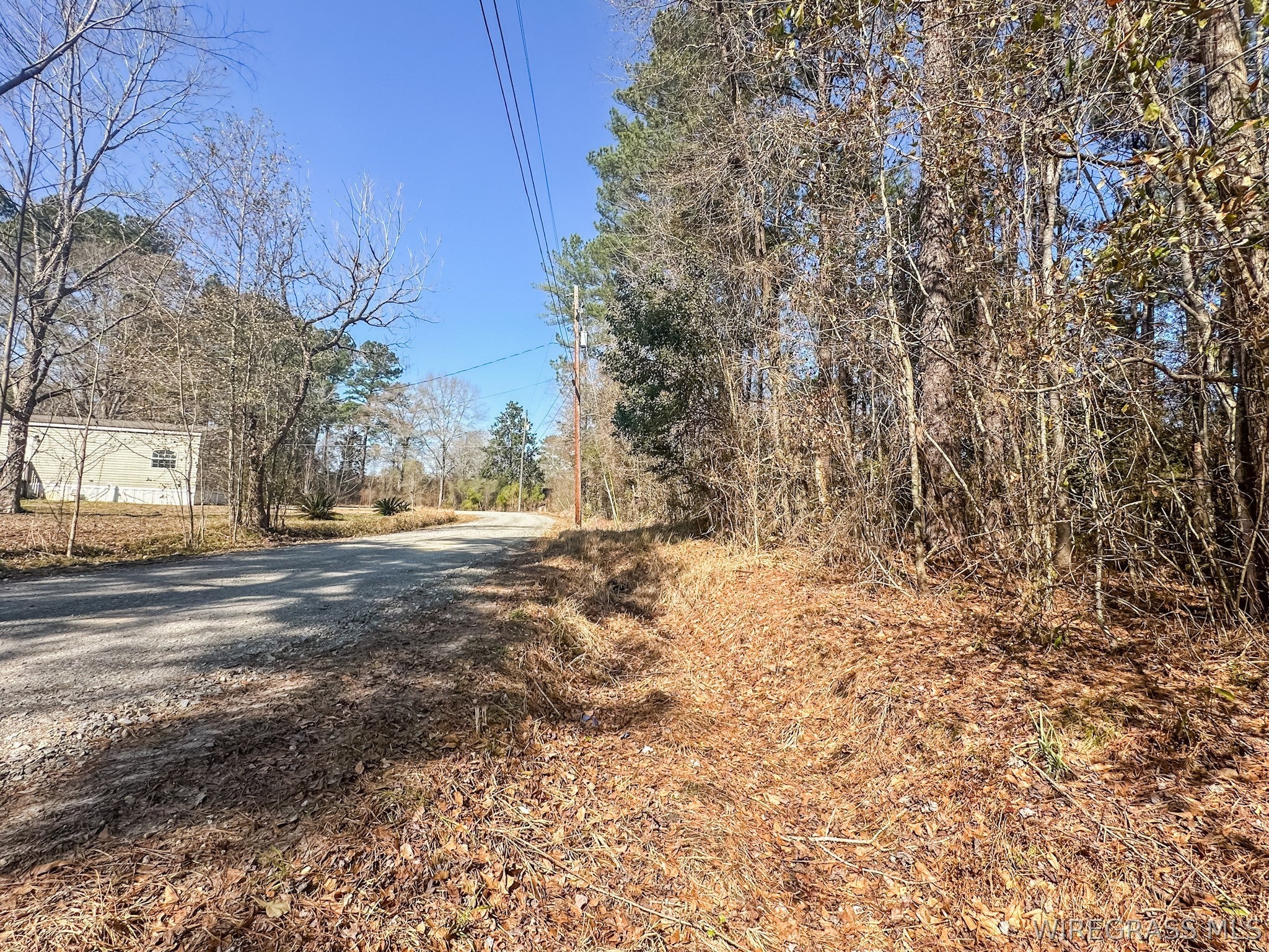 0 Faith Road Hartford, AL 36344 - Photo 3 of 7 Gallery Image 3