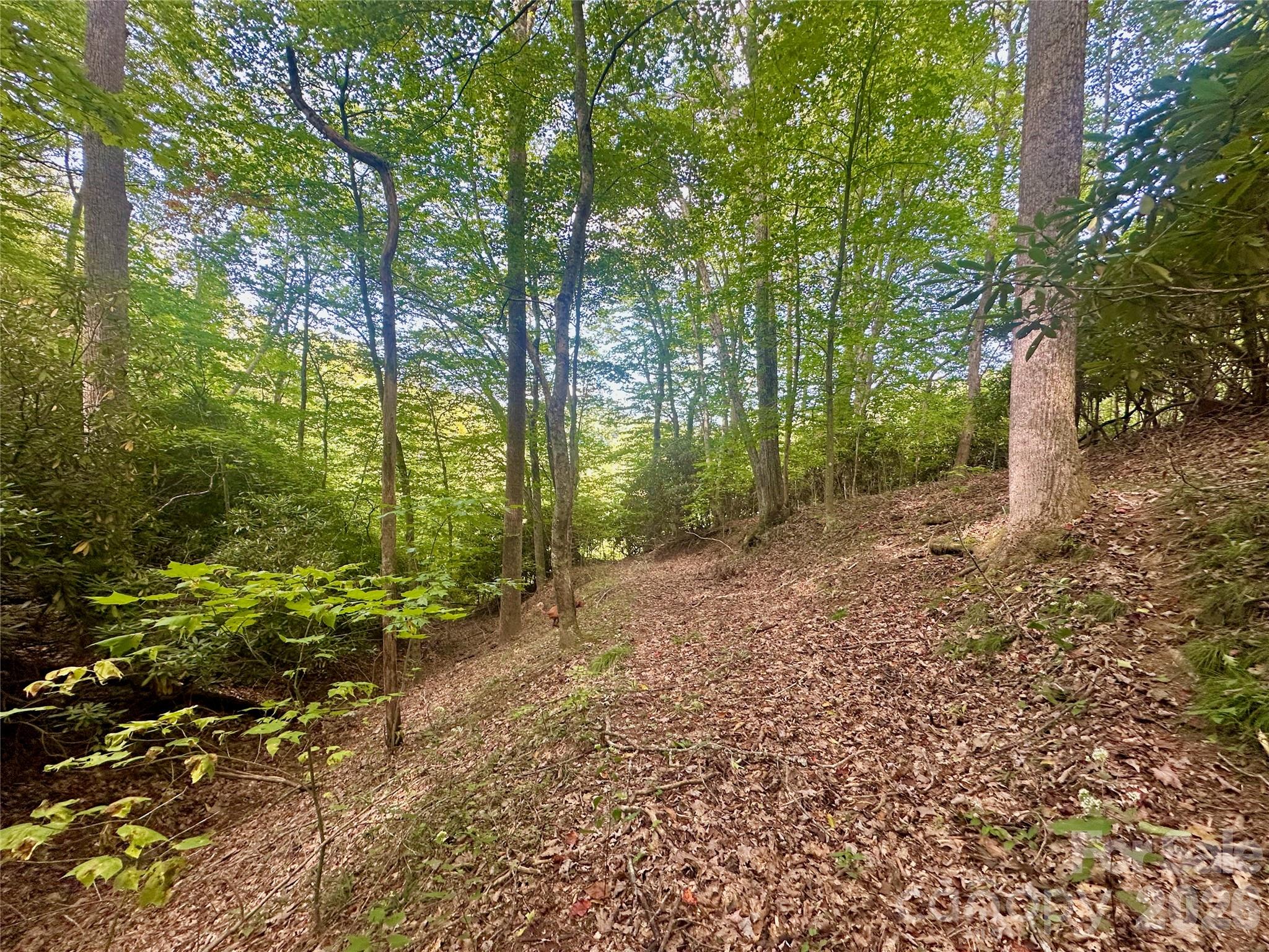 Tbd Old Anderson Quarry Road Vilas, NC 28692 - Photo 15 of 21